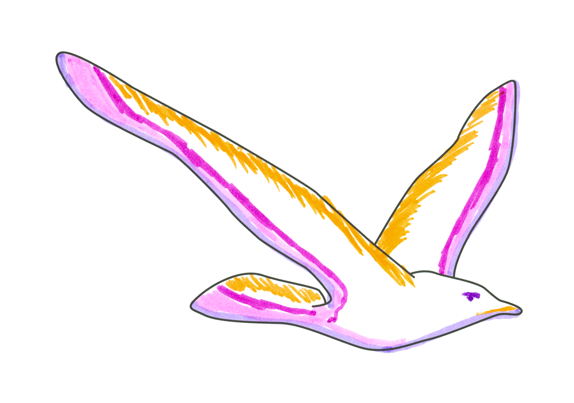 自由飛翔的天氣鳥