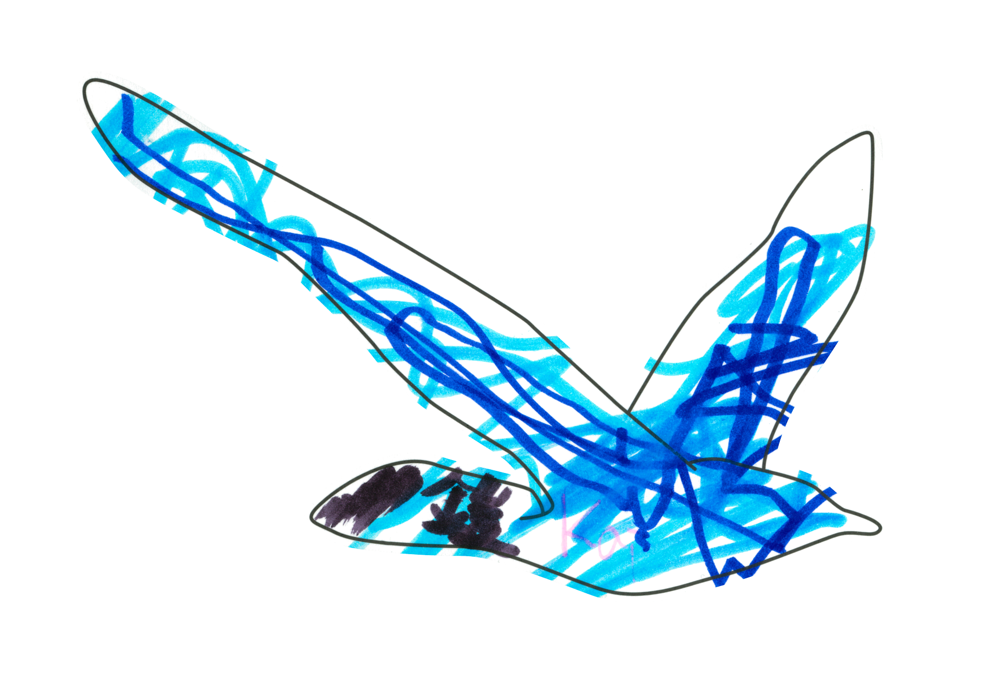 自由飛翔的天氣鳥