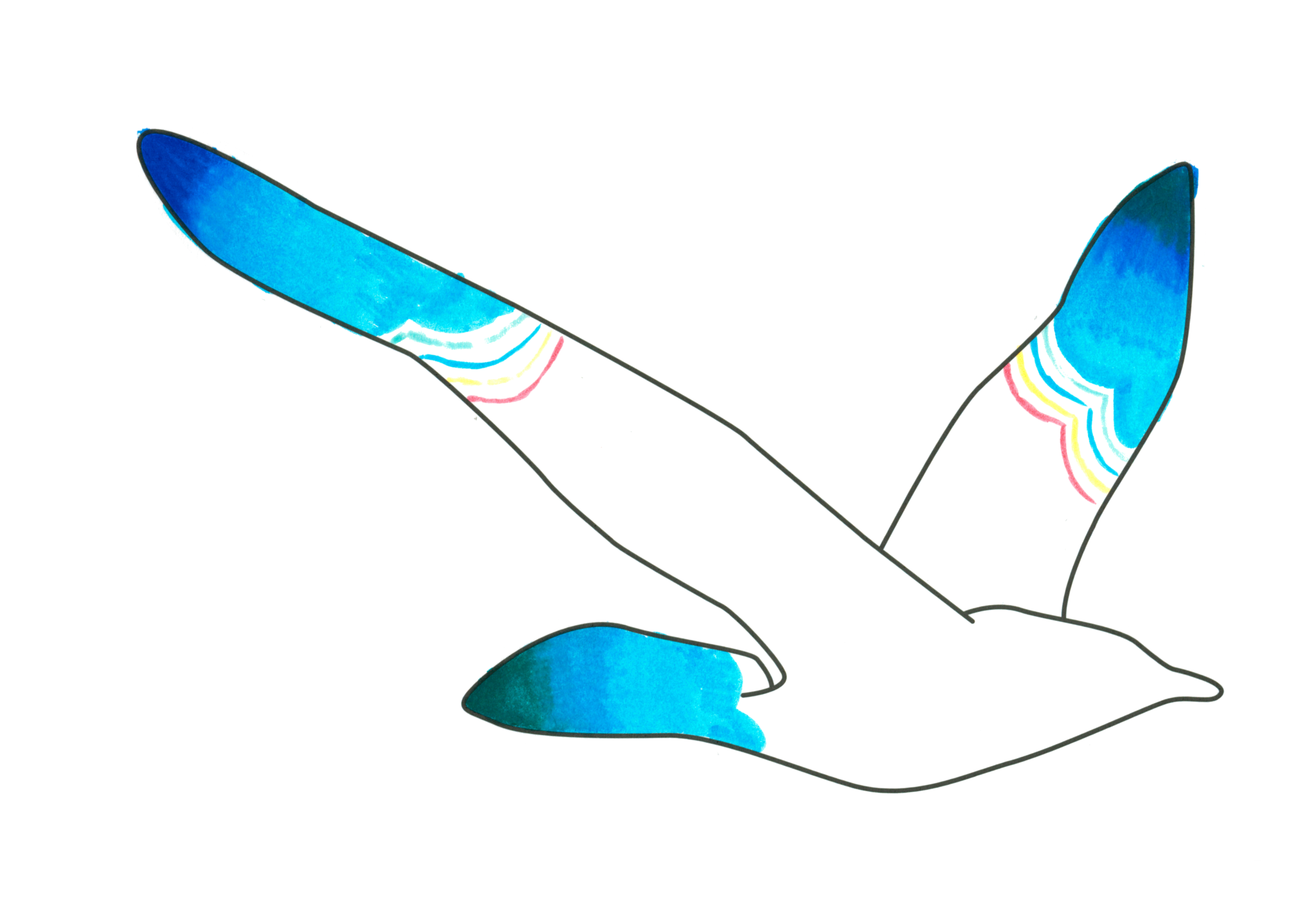自由飛翔的天氣鳥