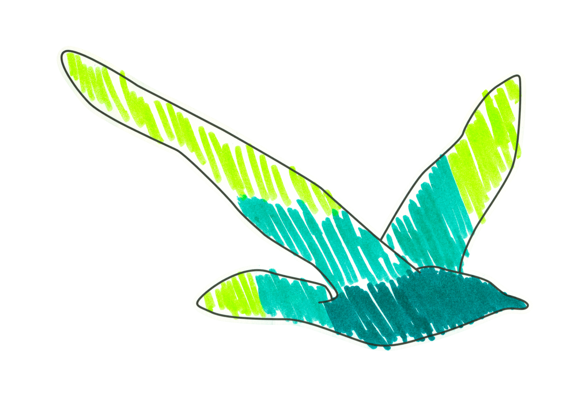 自由飛翔的天氣鳥