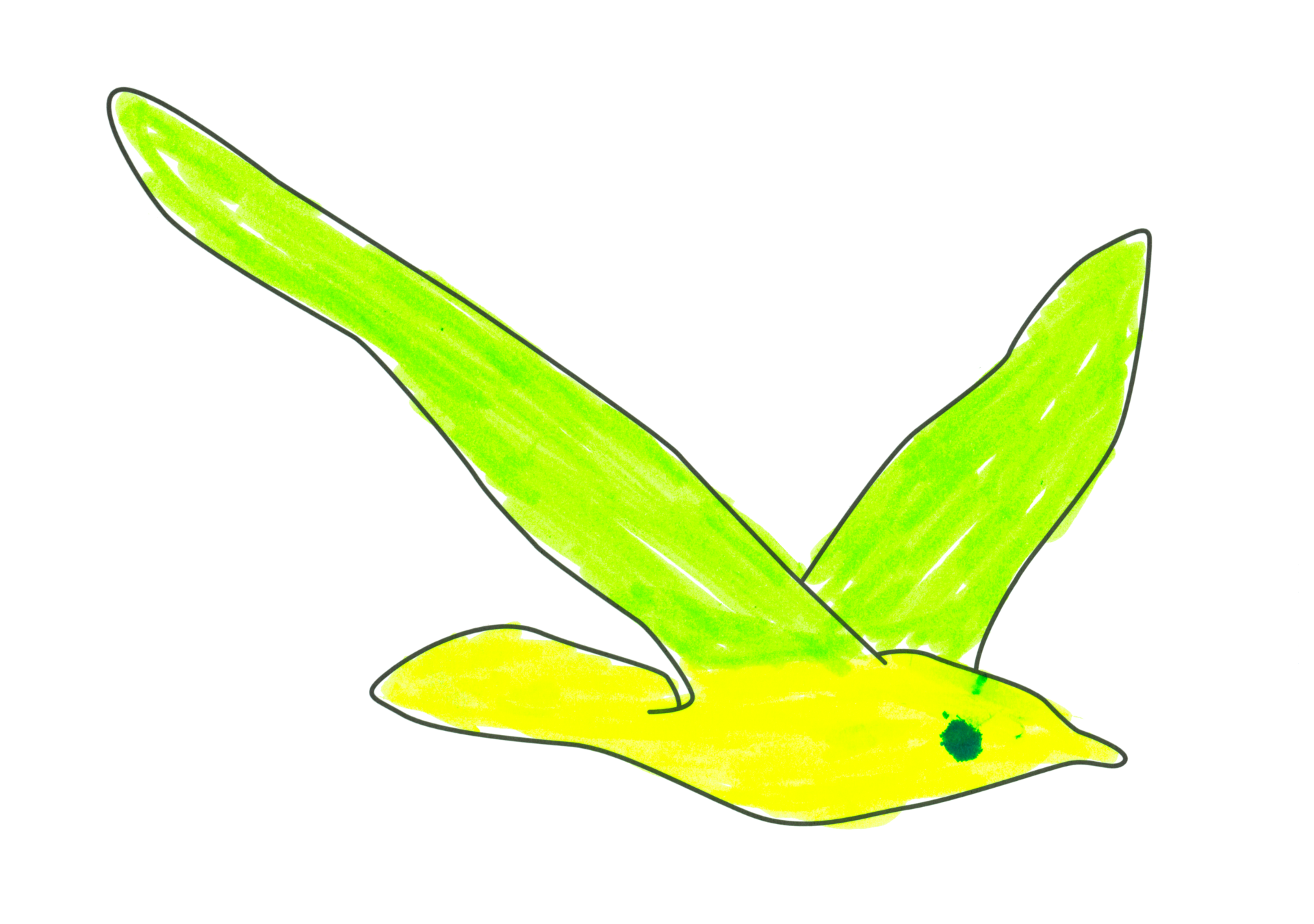 自由飛翔的天氣鳥