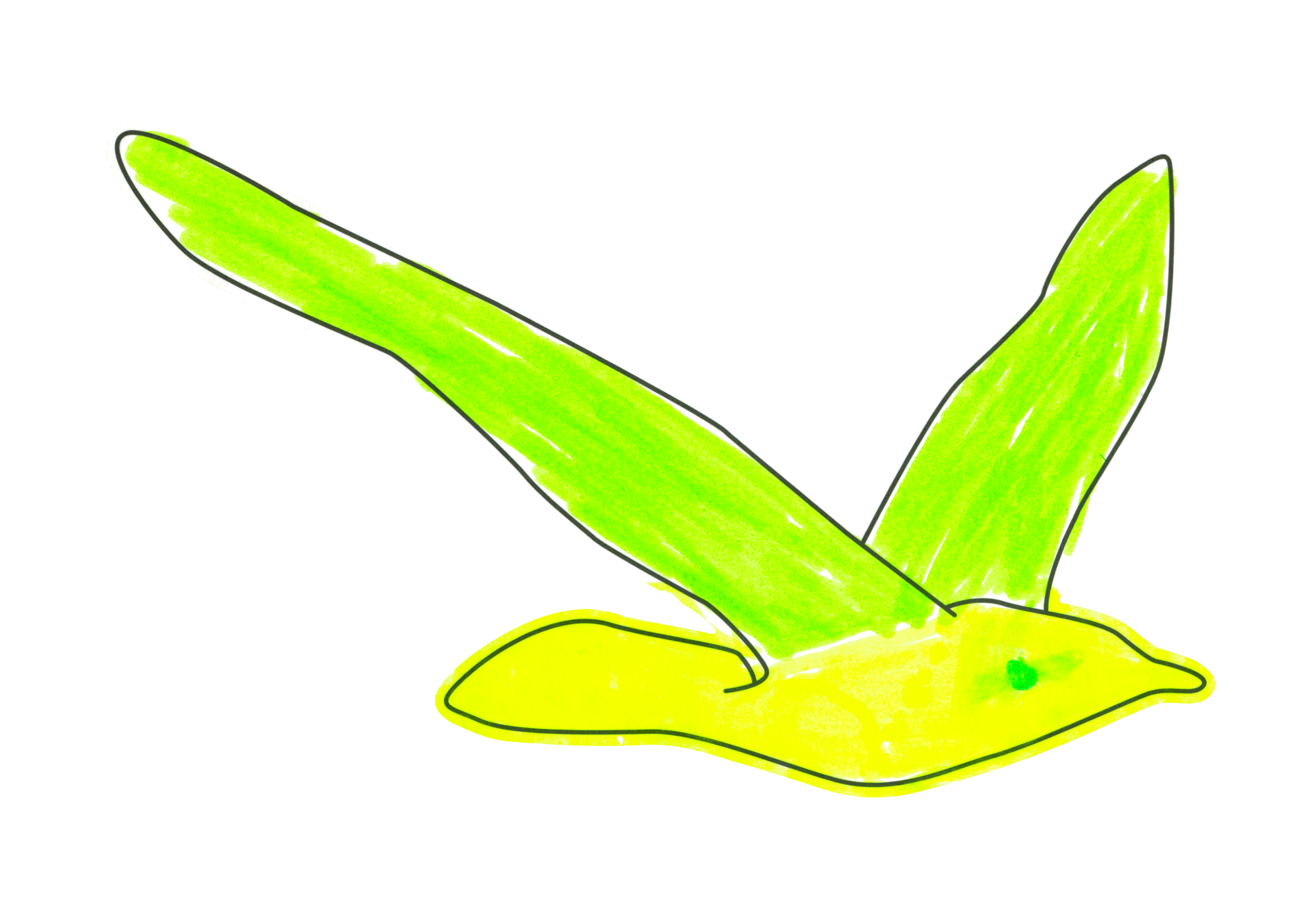 自由飛翔的天氣鳥