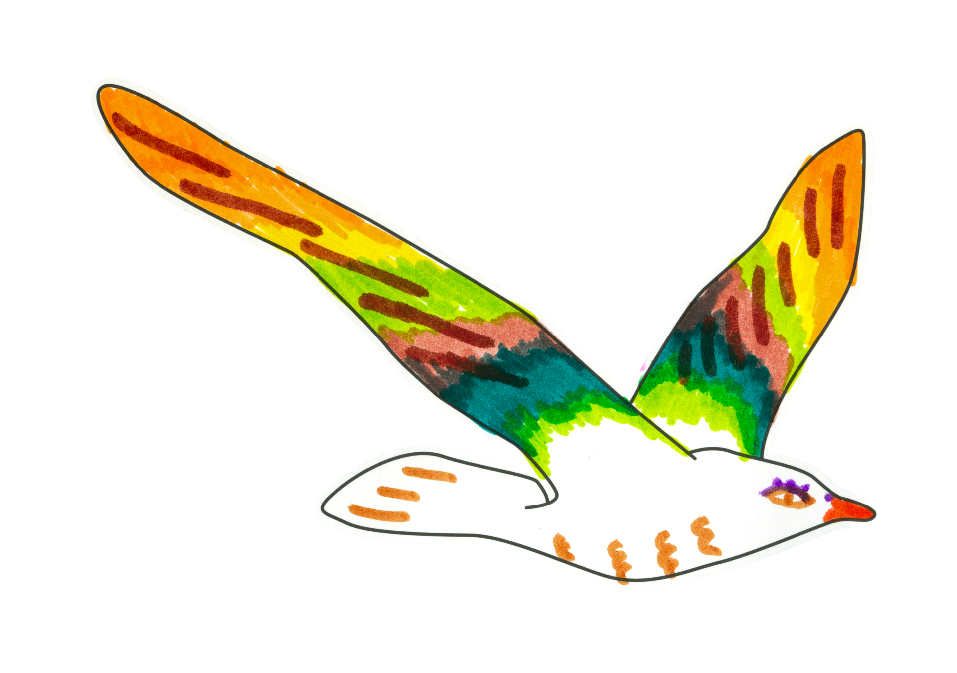 自由飛翔的天氣鳥