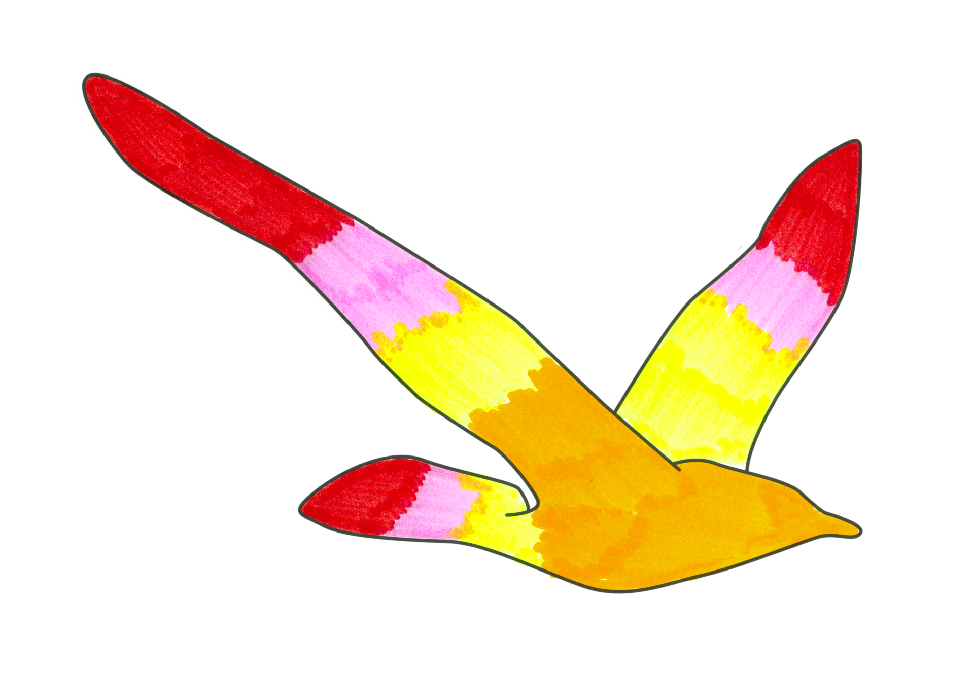 自由飛翔的天氣鳥