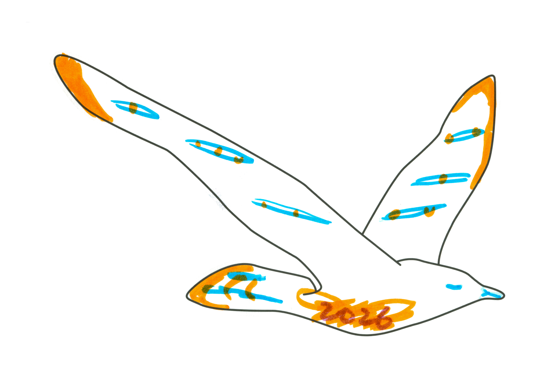 自由飛翔的天氣鳥