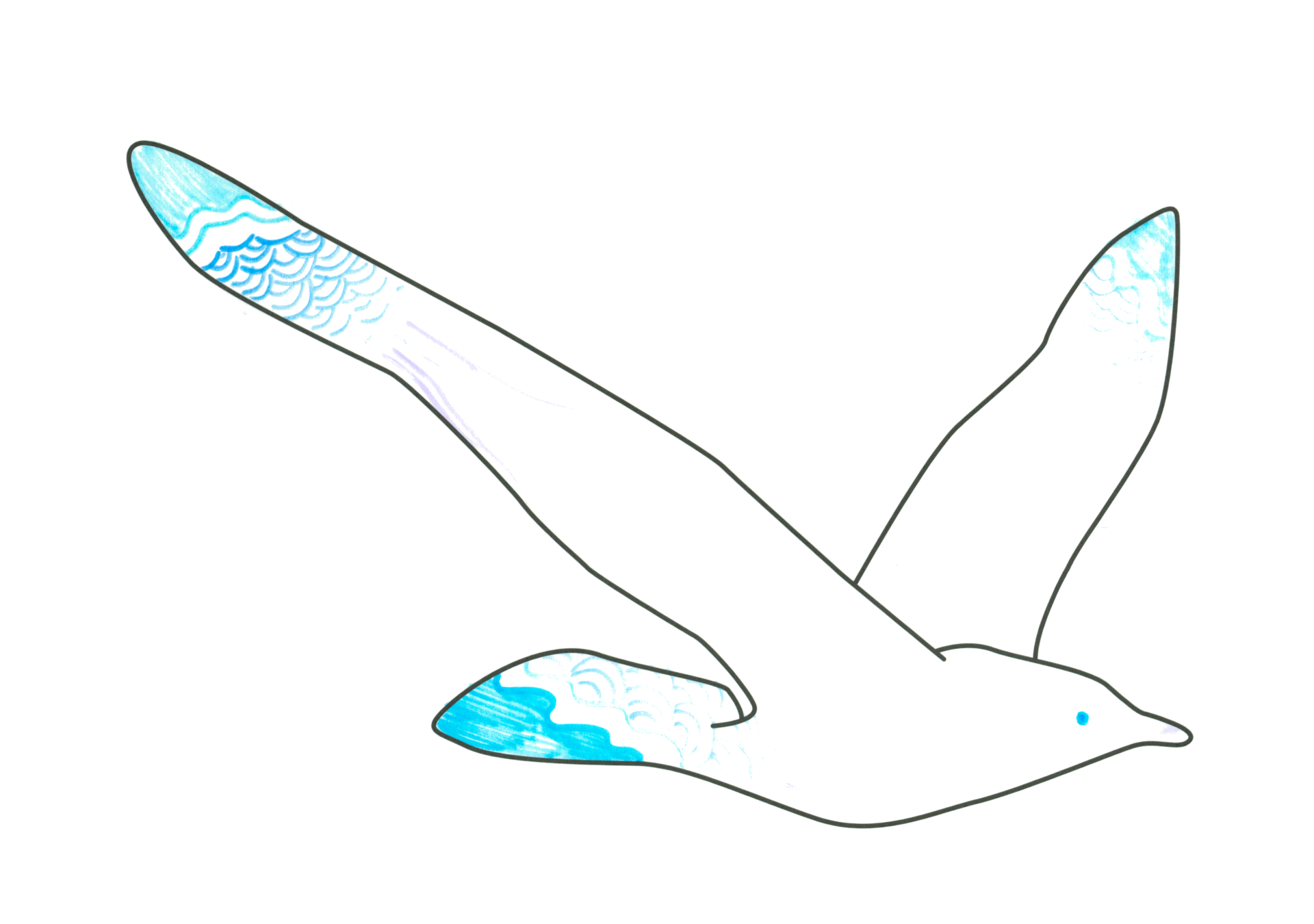 自由飛翔的天氣鳥