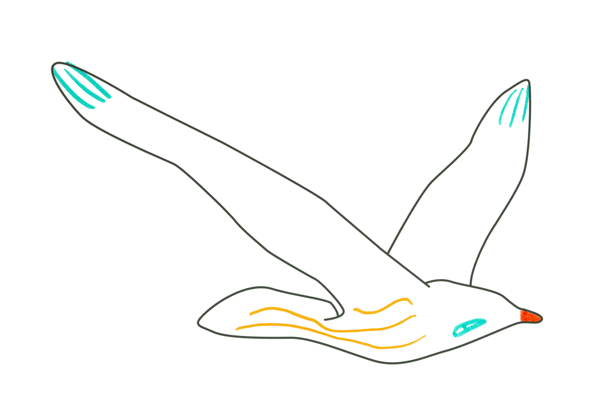 自由飛翔的天氣鳥