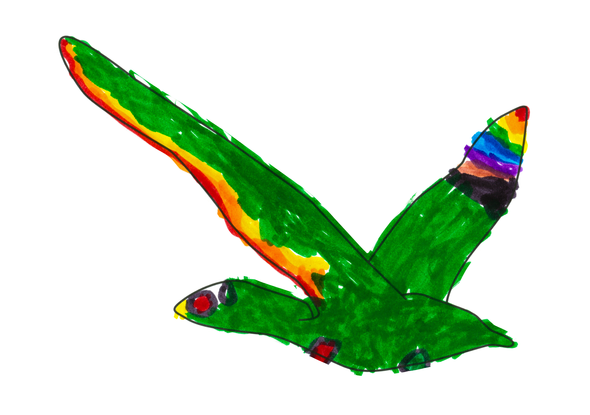 自由飛翔的天氣鳥