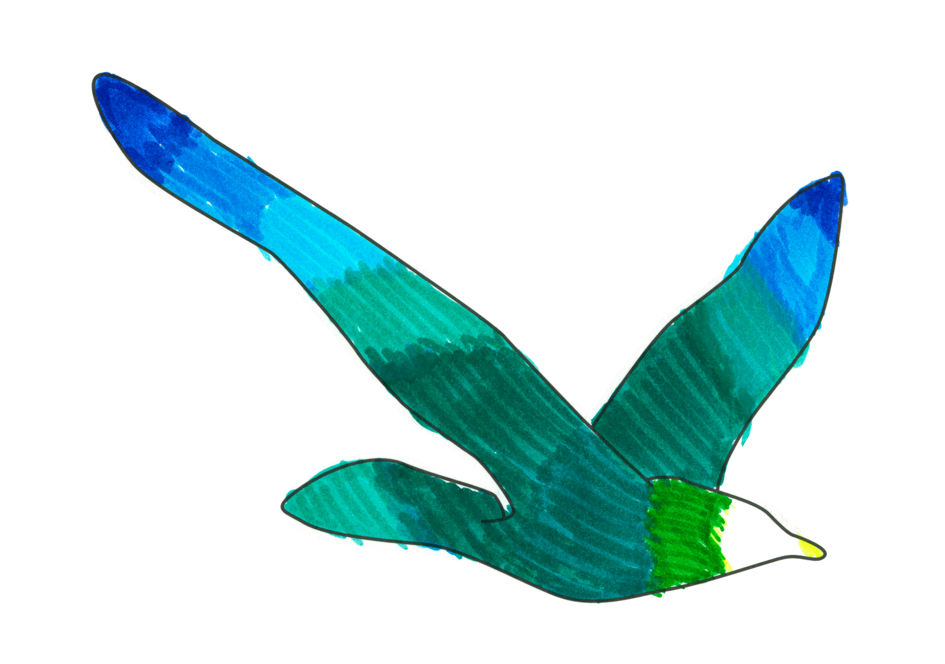 自由飛翔的天氣鳥