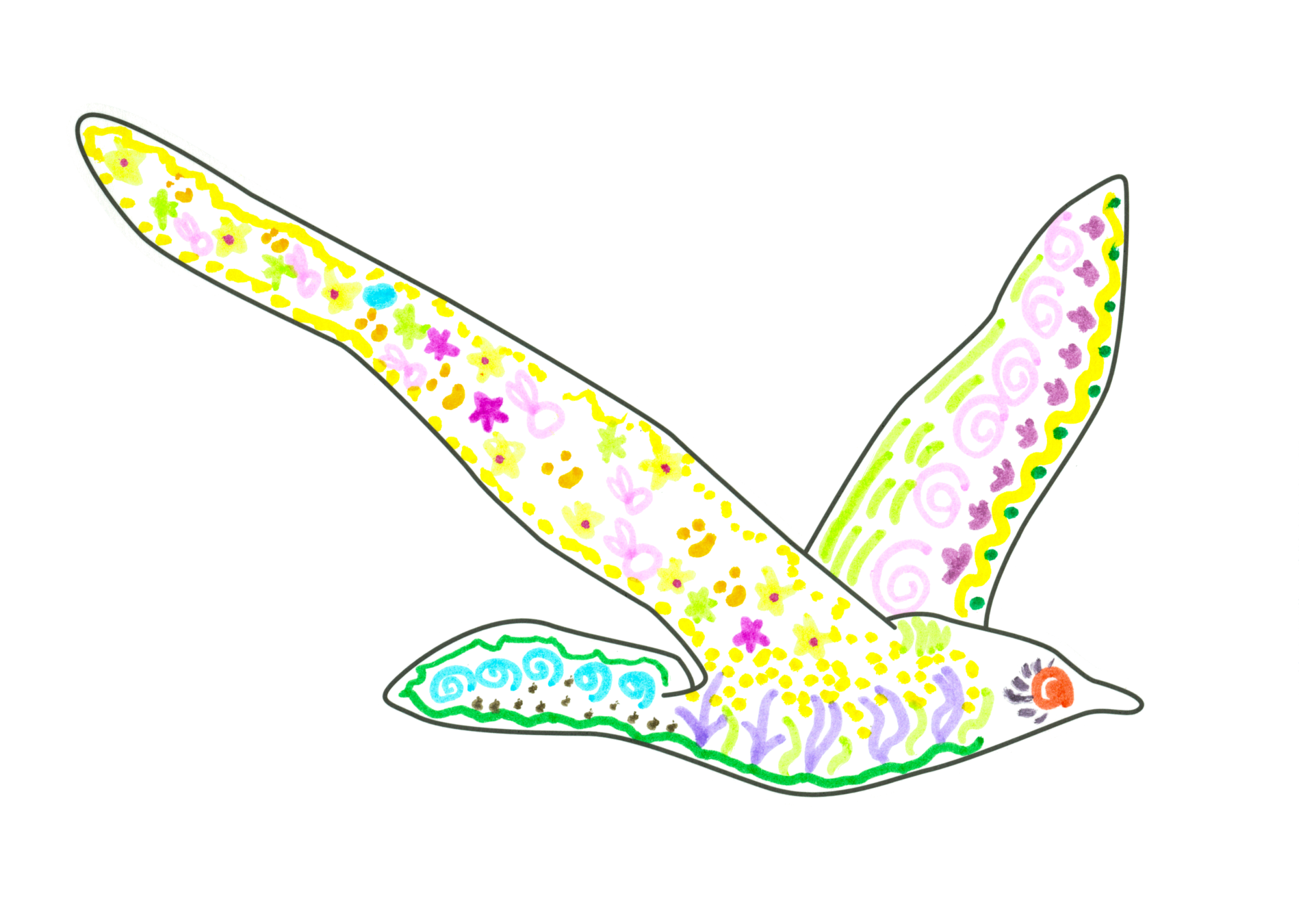 自由飛翔的天氣鳥