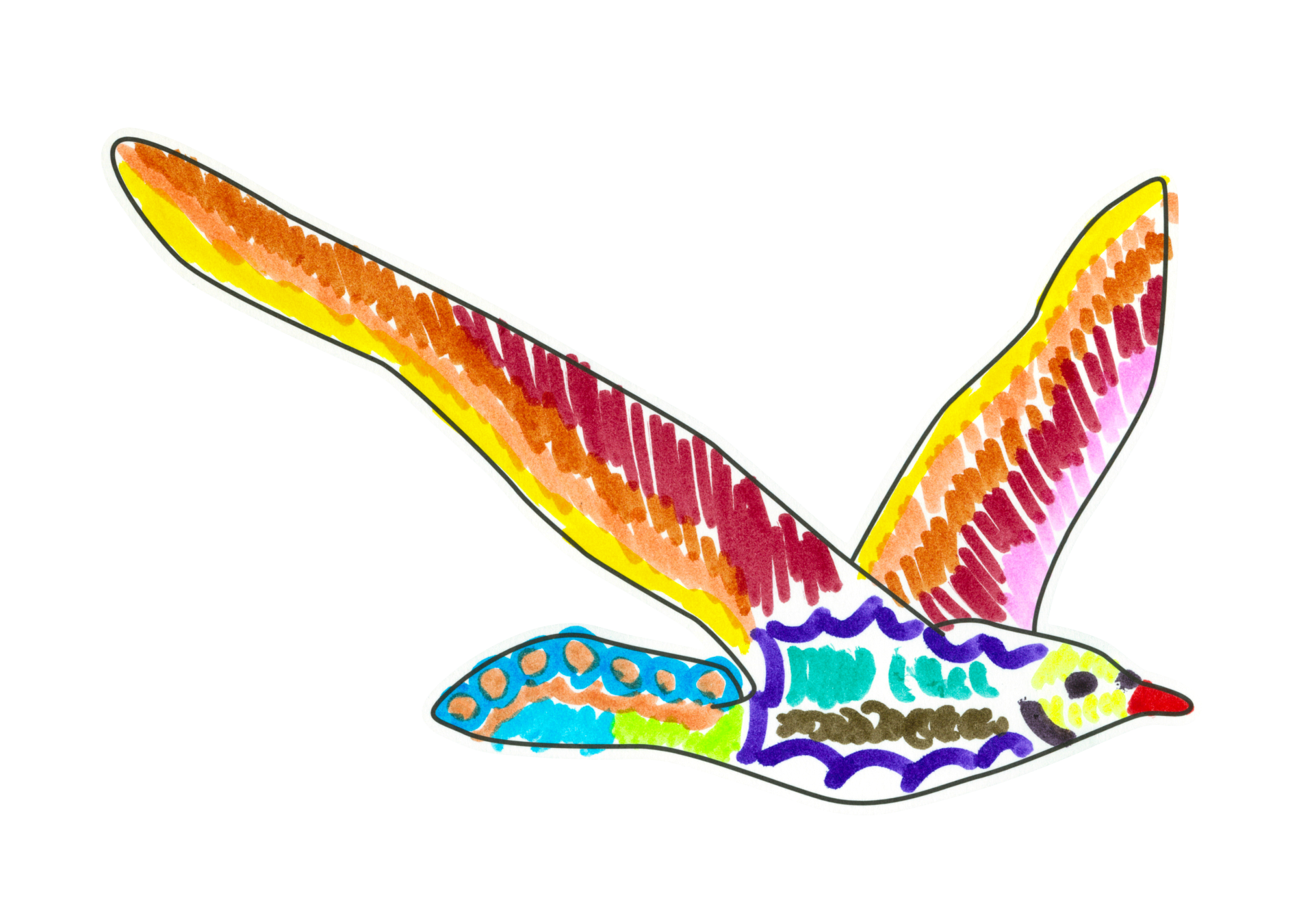 自由飛翔的天氣鳥