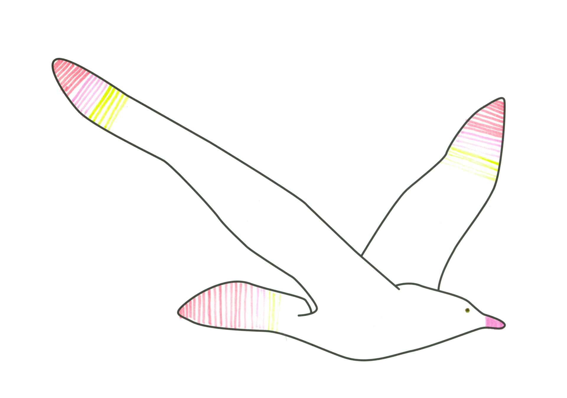 自由飛翔的天氣鳥