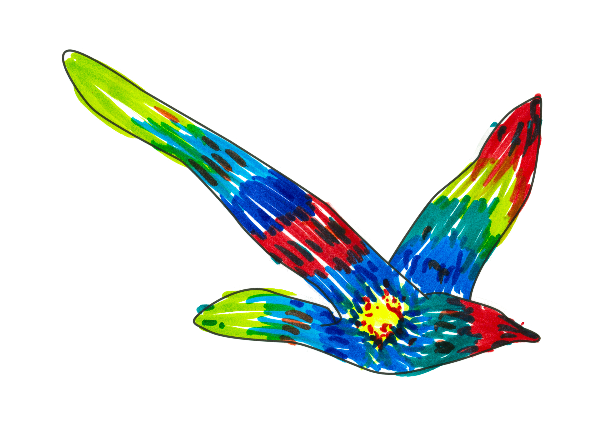 自由飛翔的天氣鳥