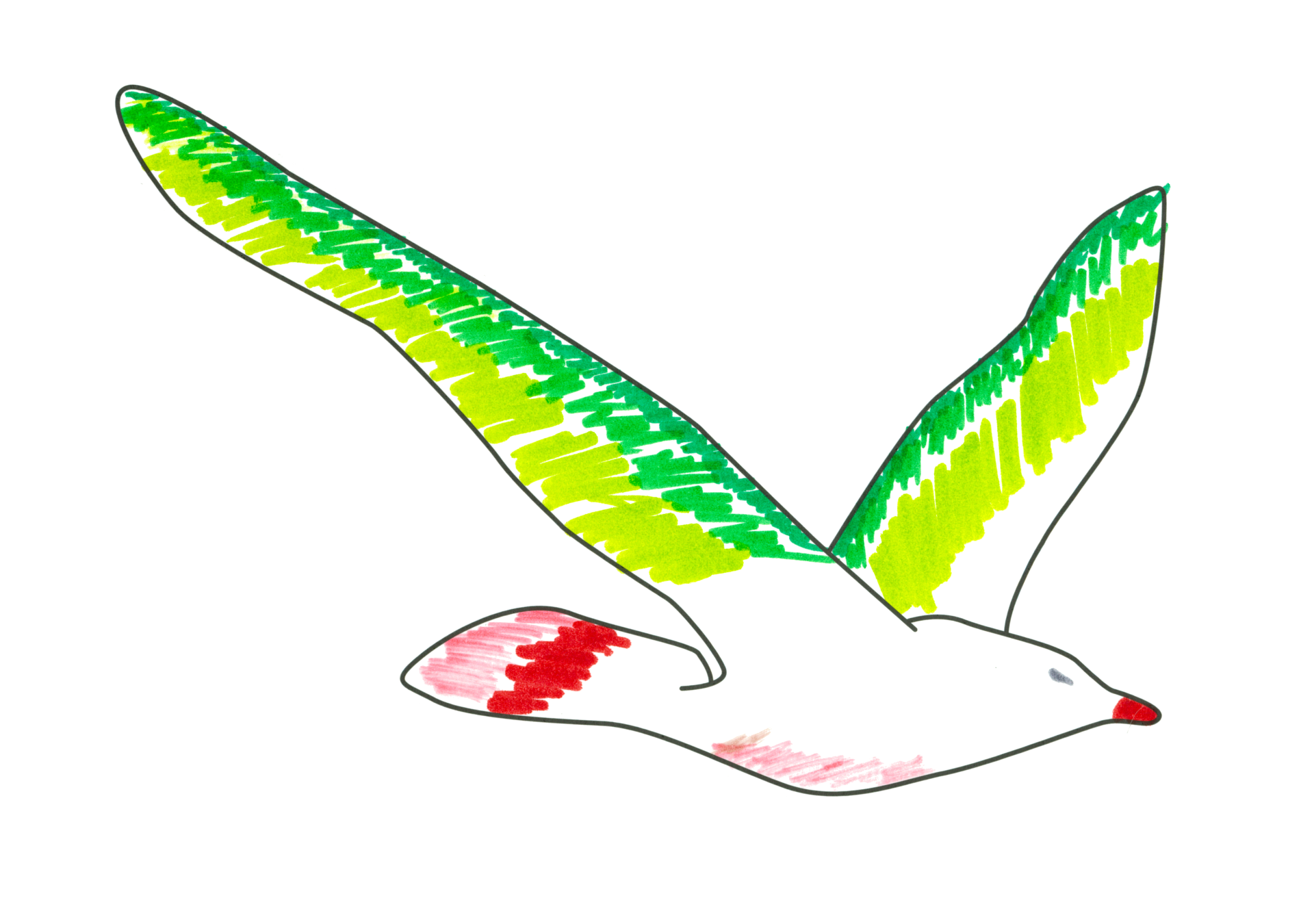 11678 自由飛翔的天氣鳥