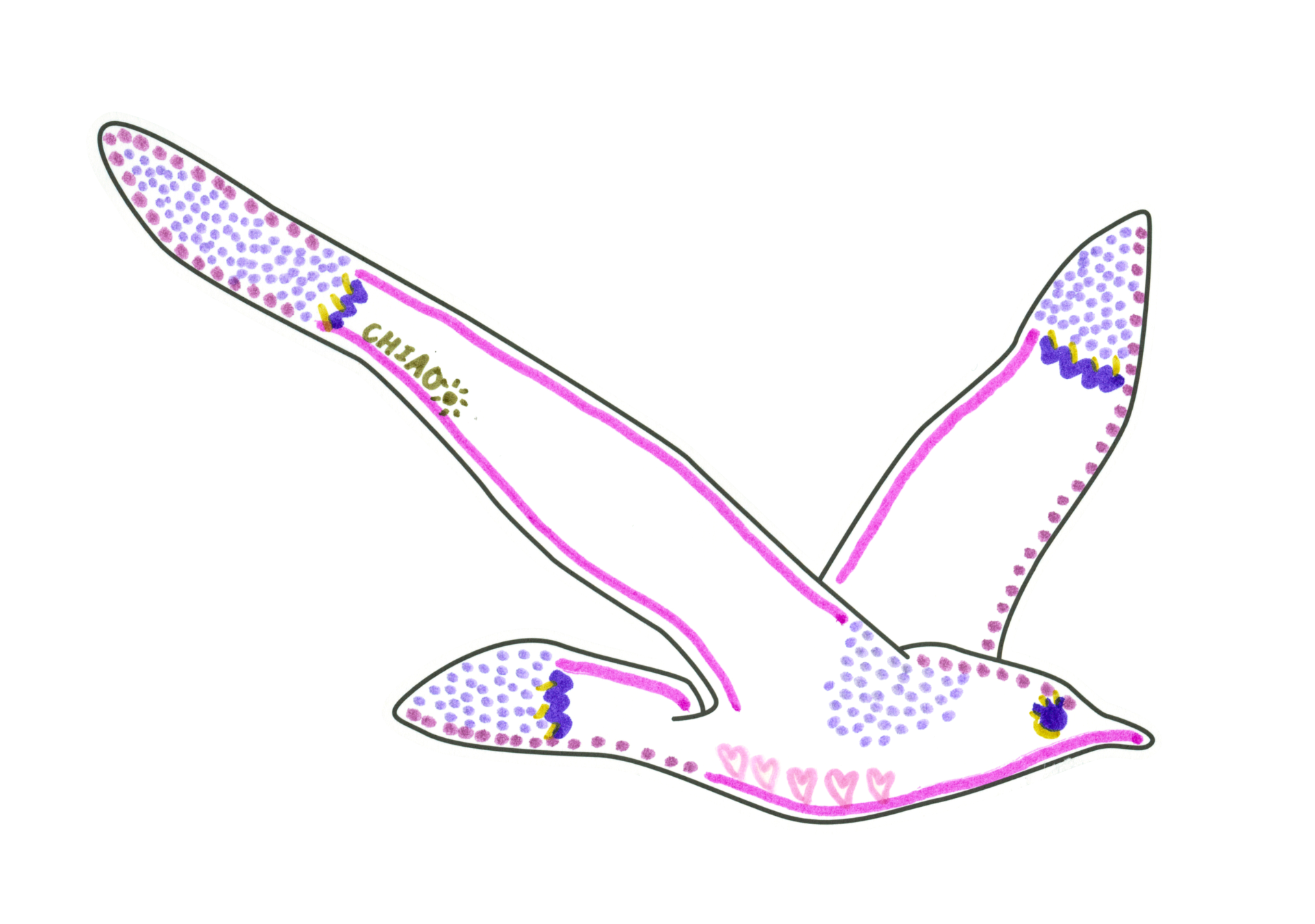 11683 自由飛翔的天氣鳥