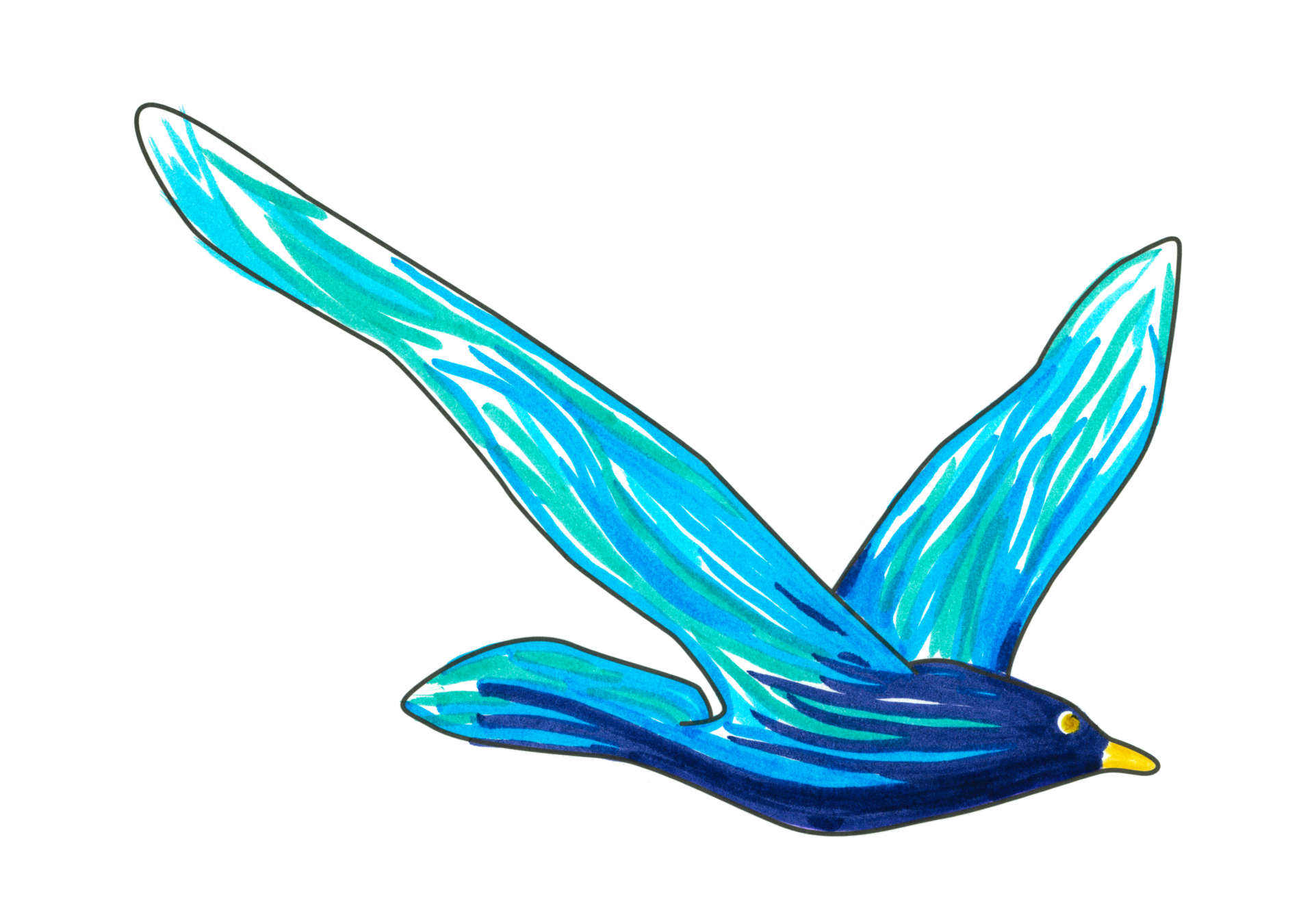 11690 自由飛翔的天氣鳥