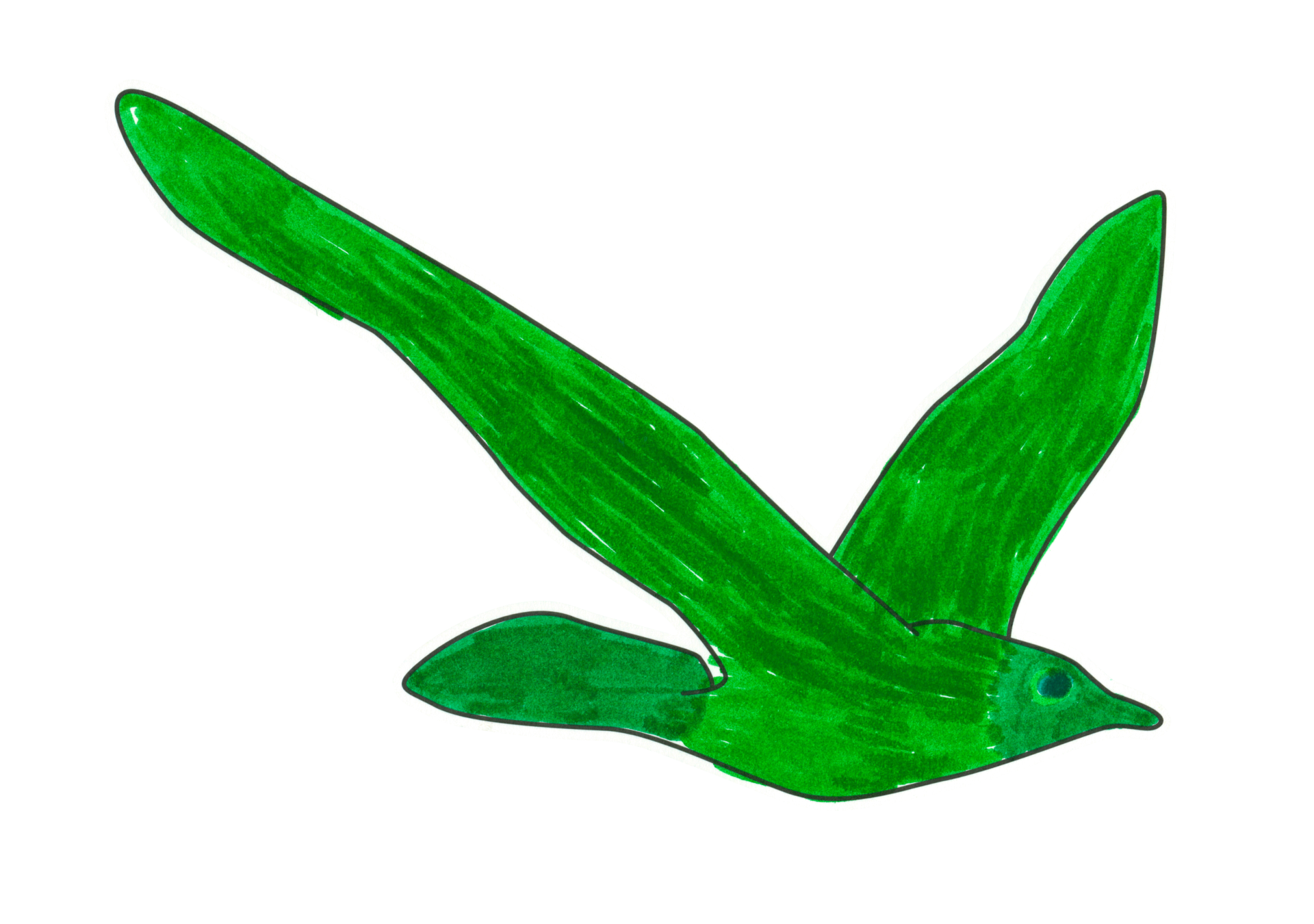 一隻真的鳥