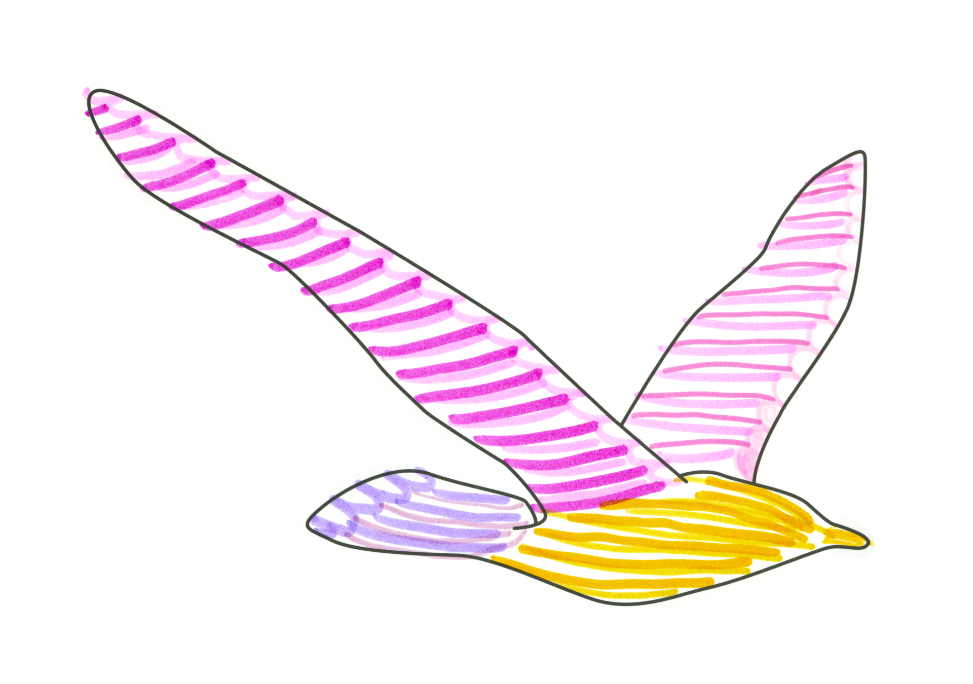 11698 自由飛翔的天氣鳥