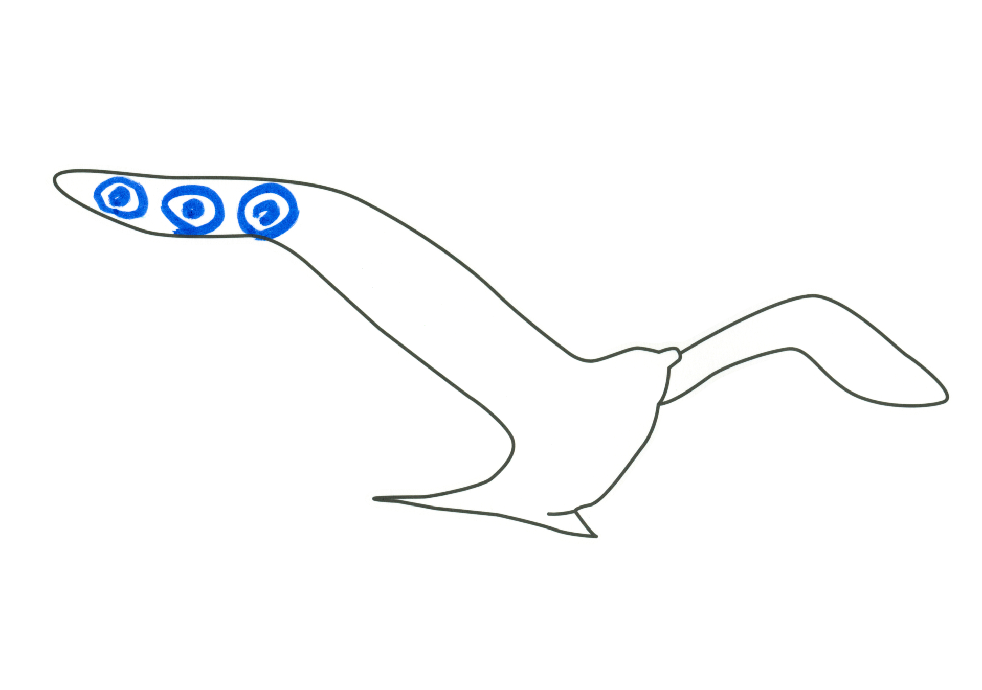 09255 自由飛翔的天氣鳥