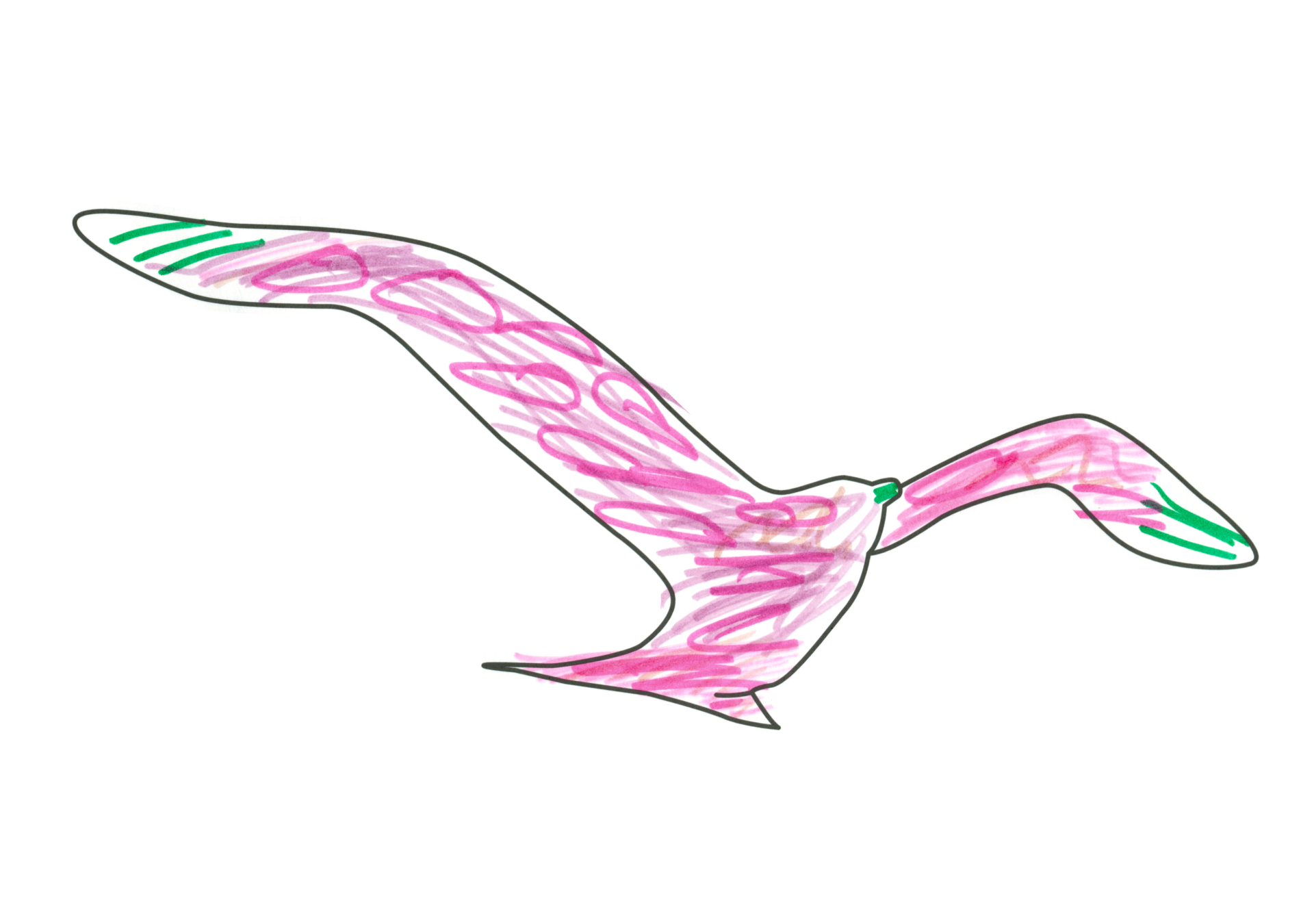 09496 自由飛翔的天氣鳥
