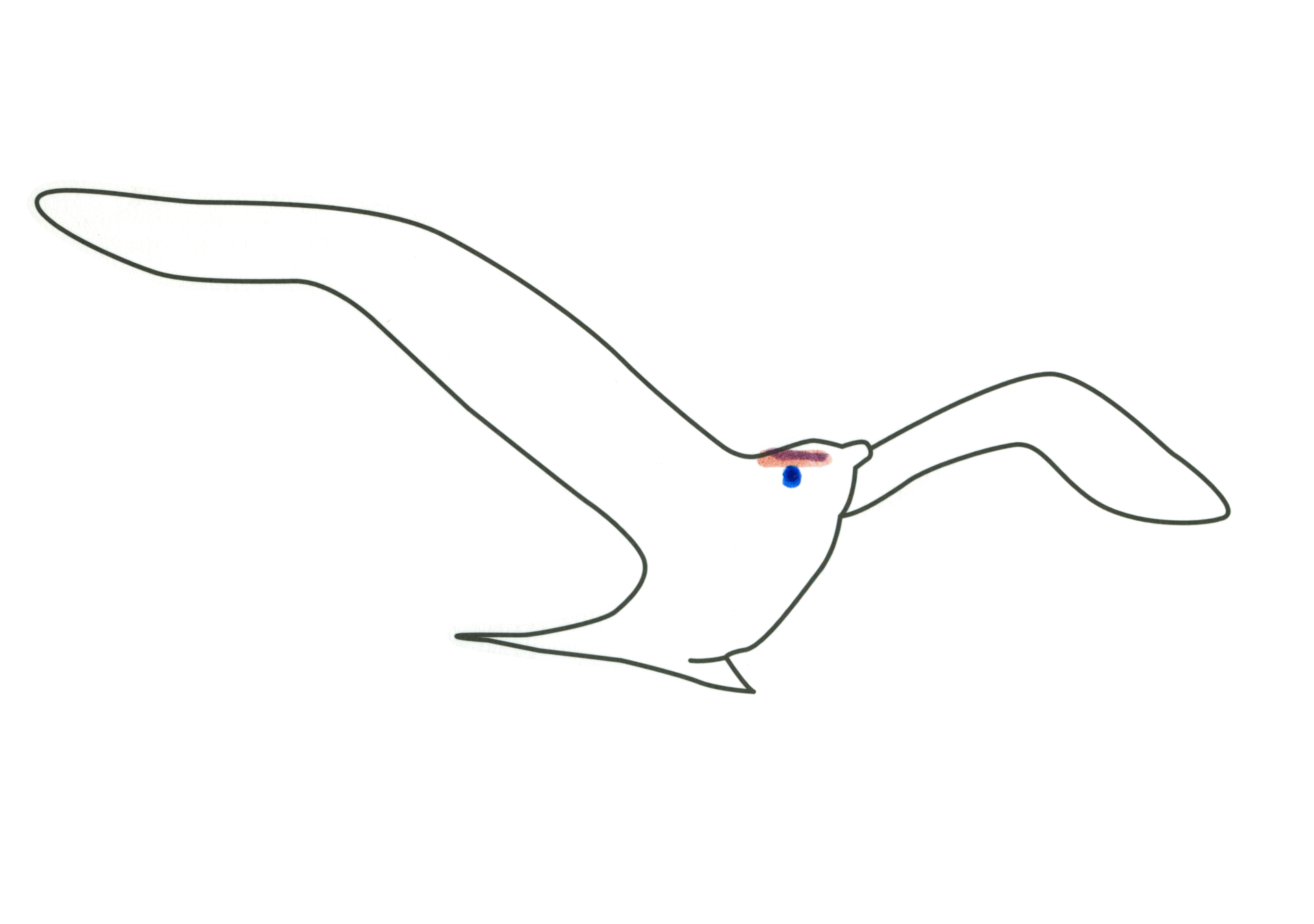 09505 自由飛翔的天氣鳥