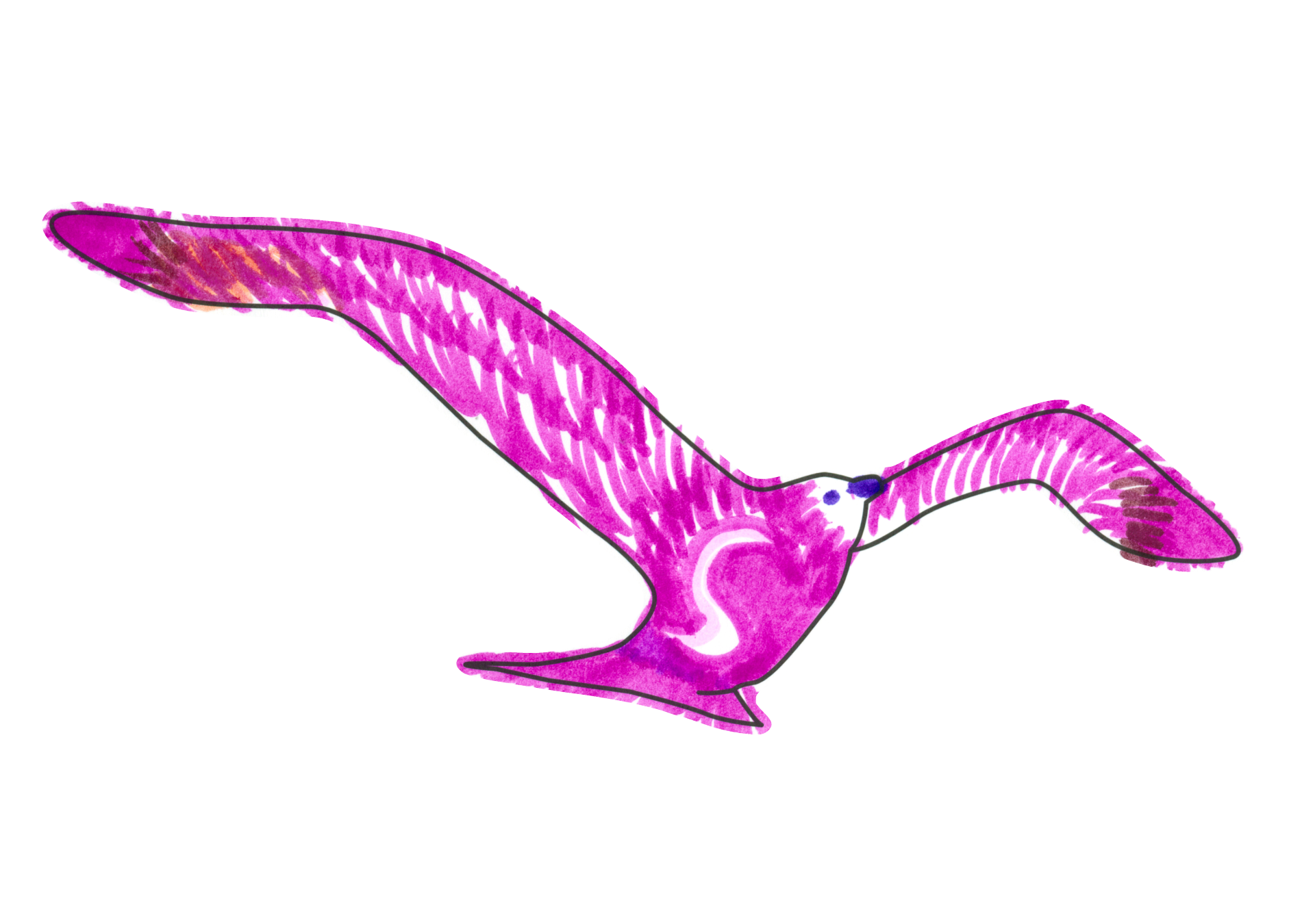 09515 自由飛翔的天氣鳥