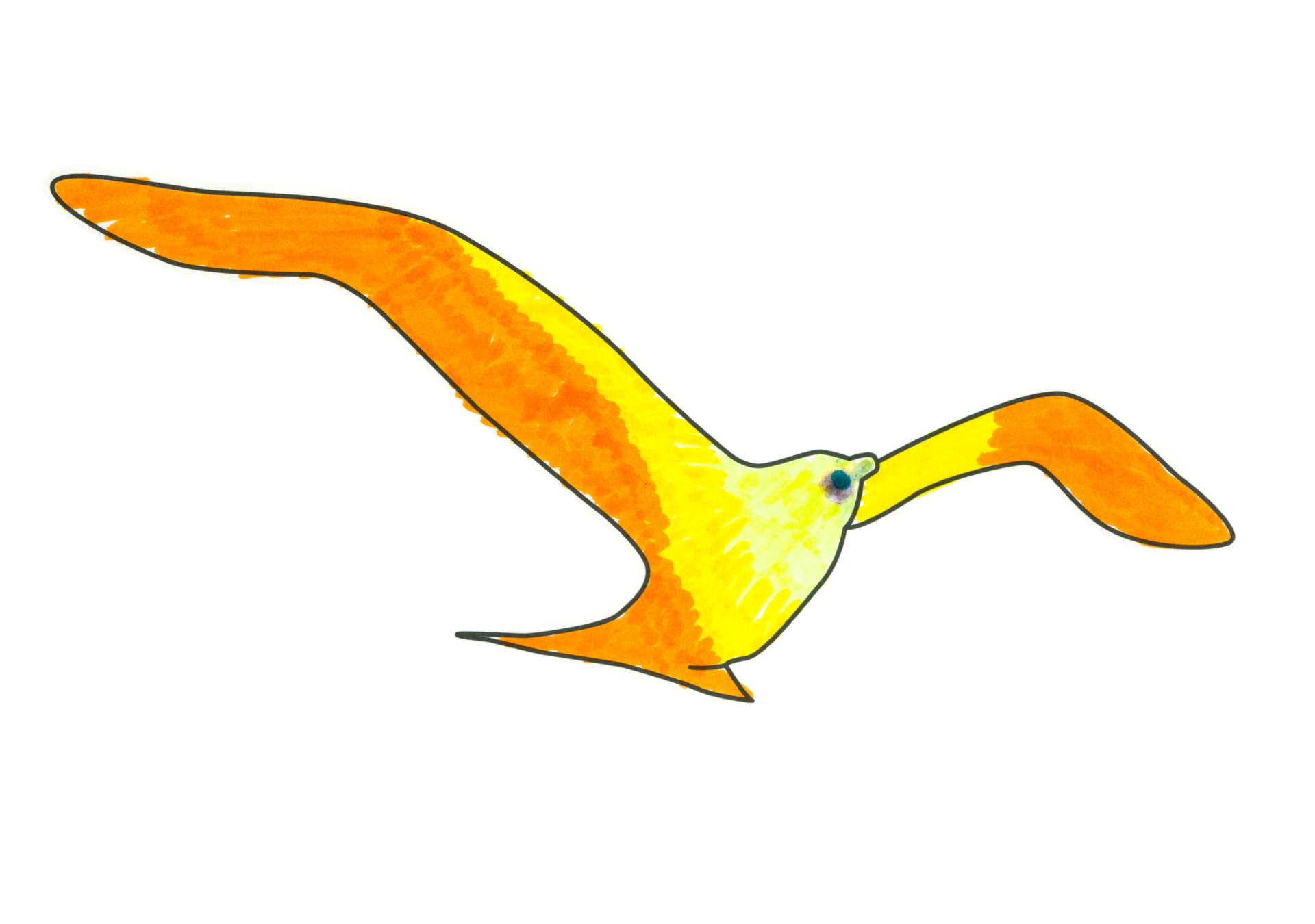 09517 自由飛翔的天氣鳥