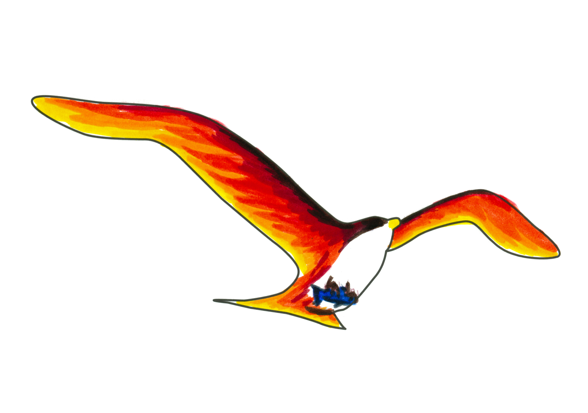 09528 自由飛翔的天氣鳥