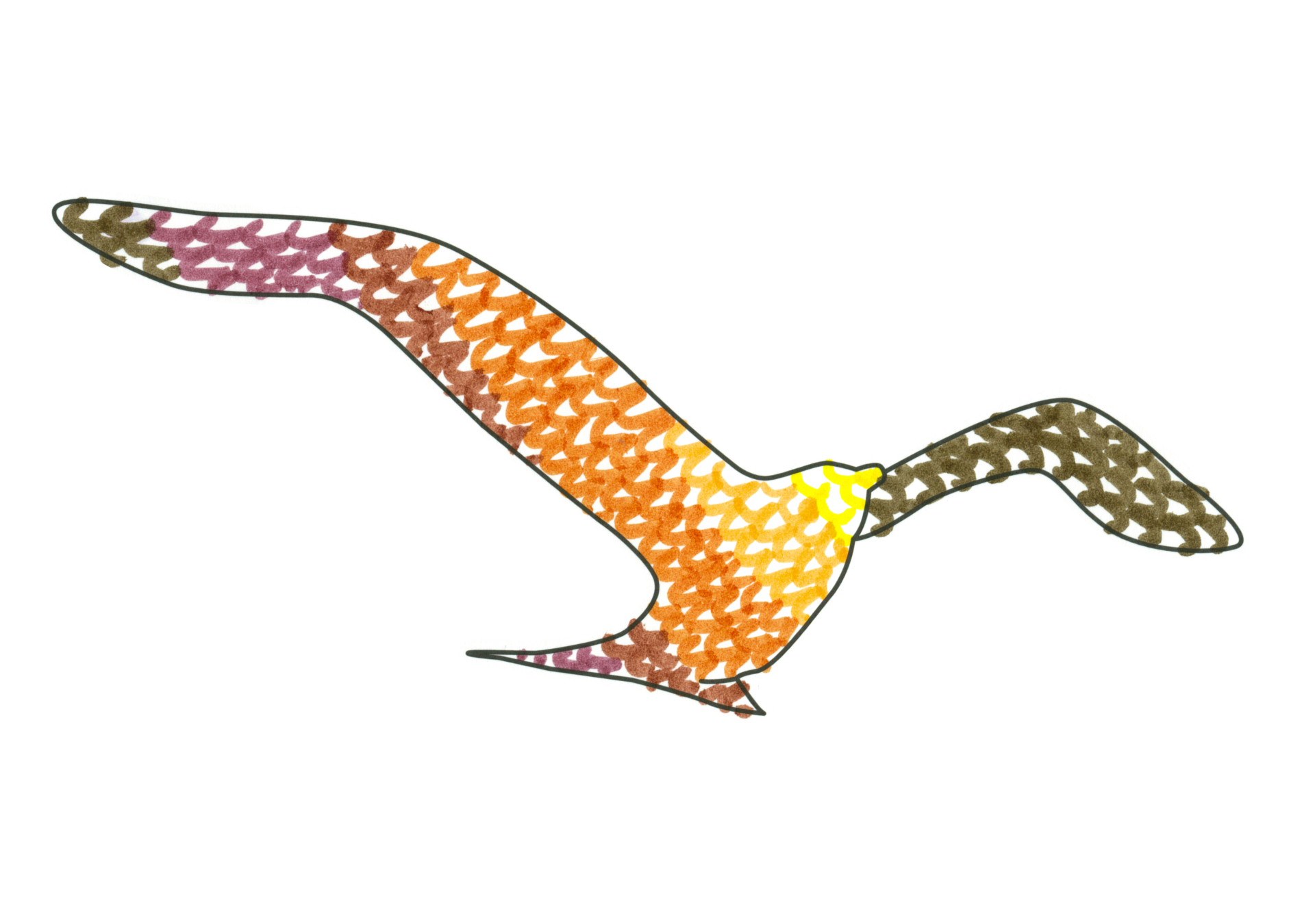 09531 自由飛翔的天氣鳥
