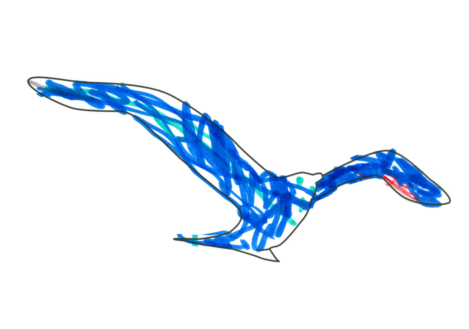 09532 自由飛翔的天氣鳥