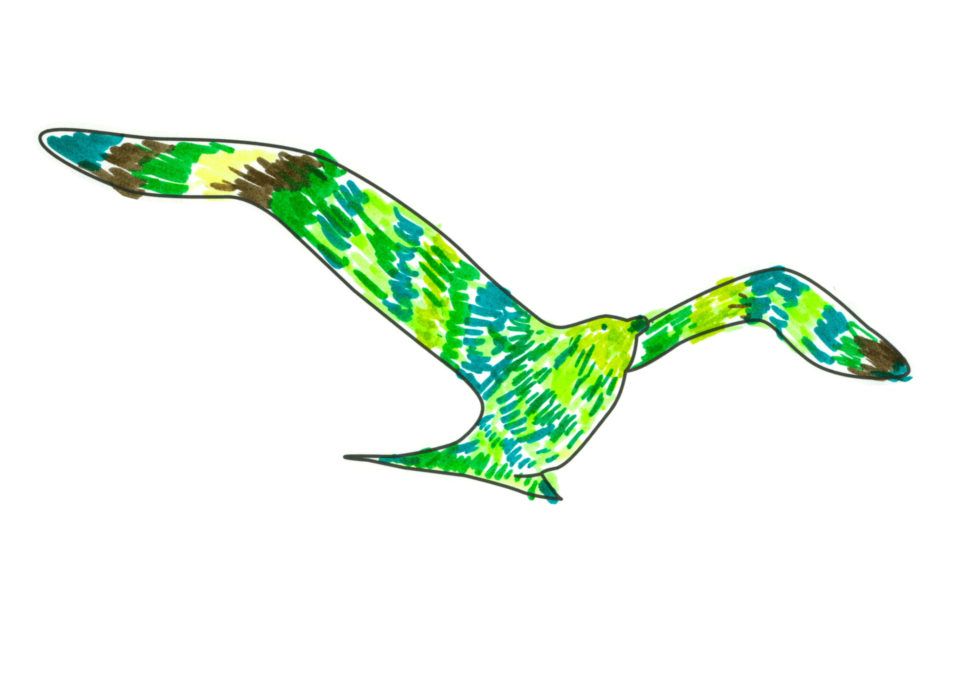 09533 自由飛翔的天氣鳥