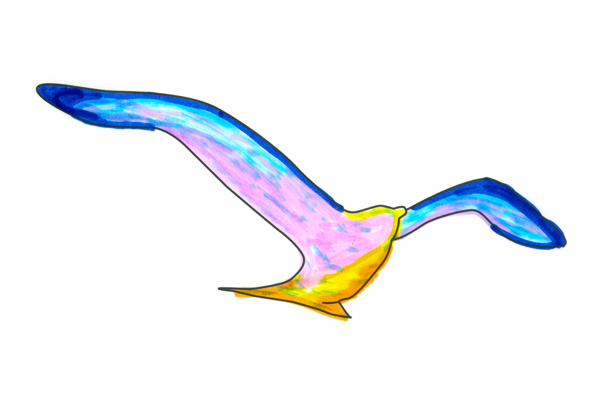 09542 自由飛翔的天氣鳥