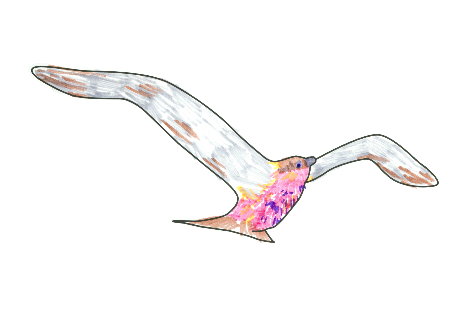 09554 自由飛翔的天氣鳥