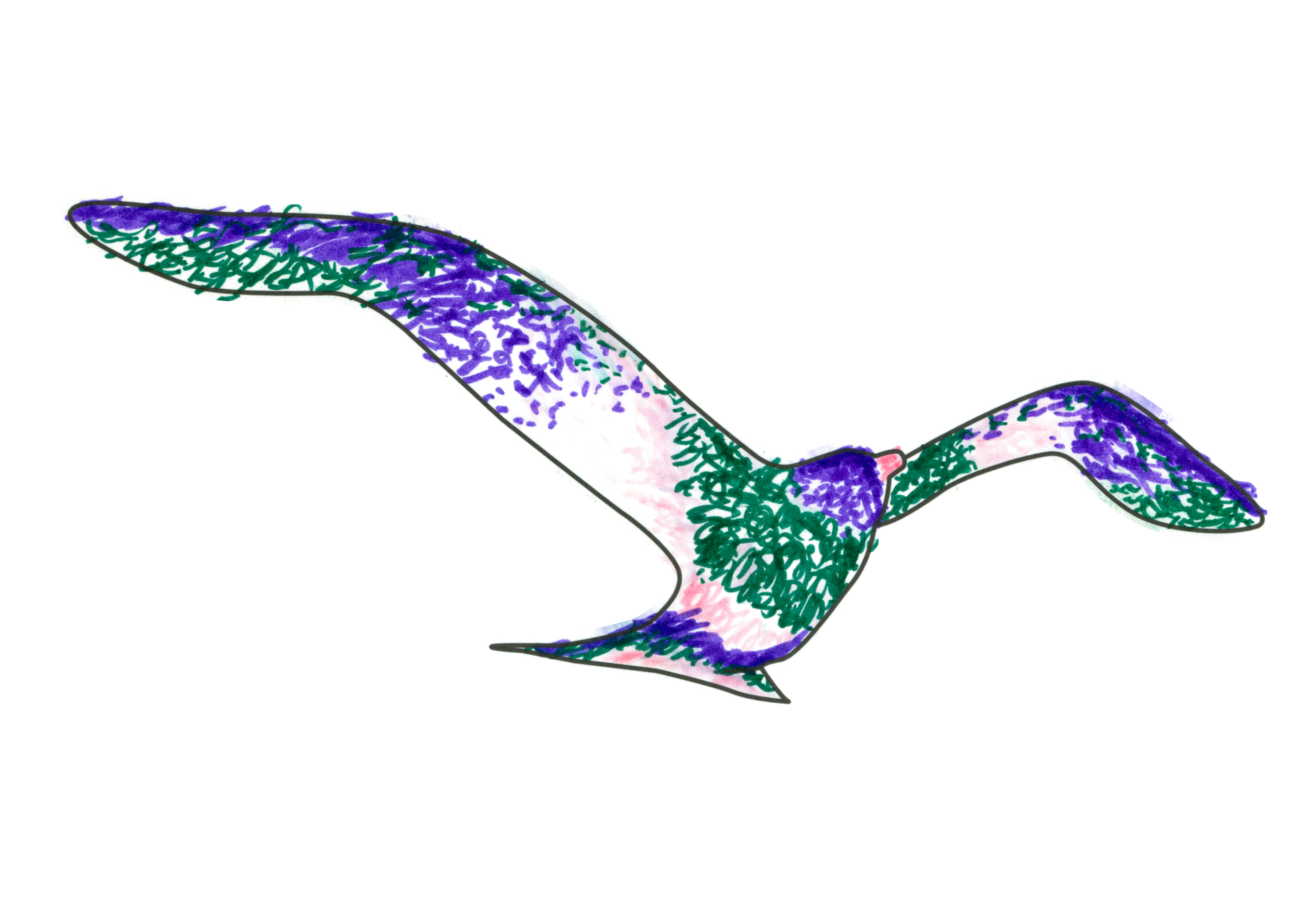 09557 自由飛翔的天氣鳥