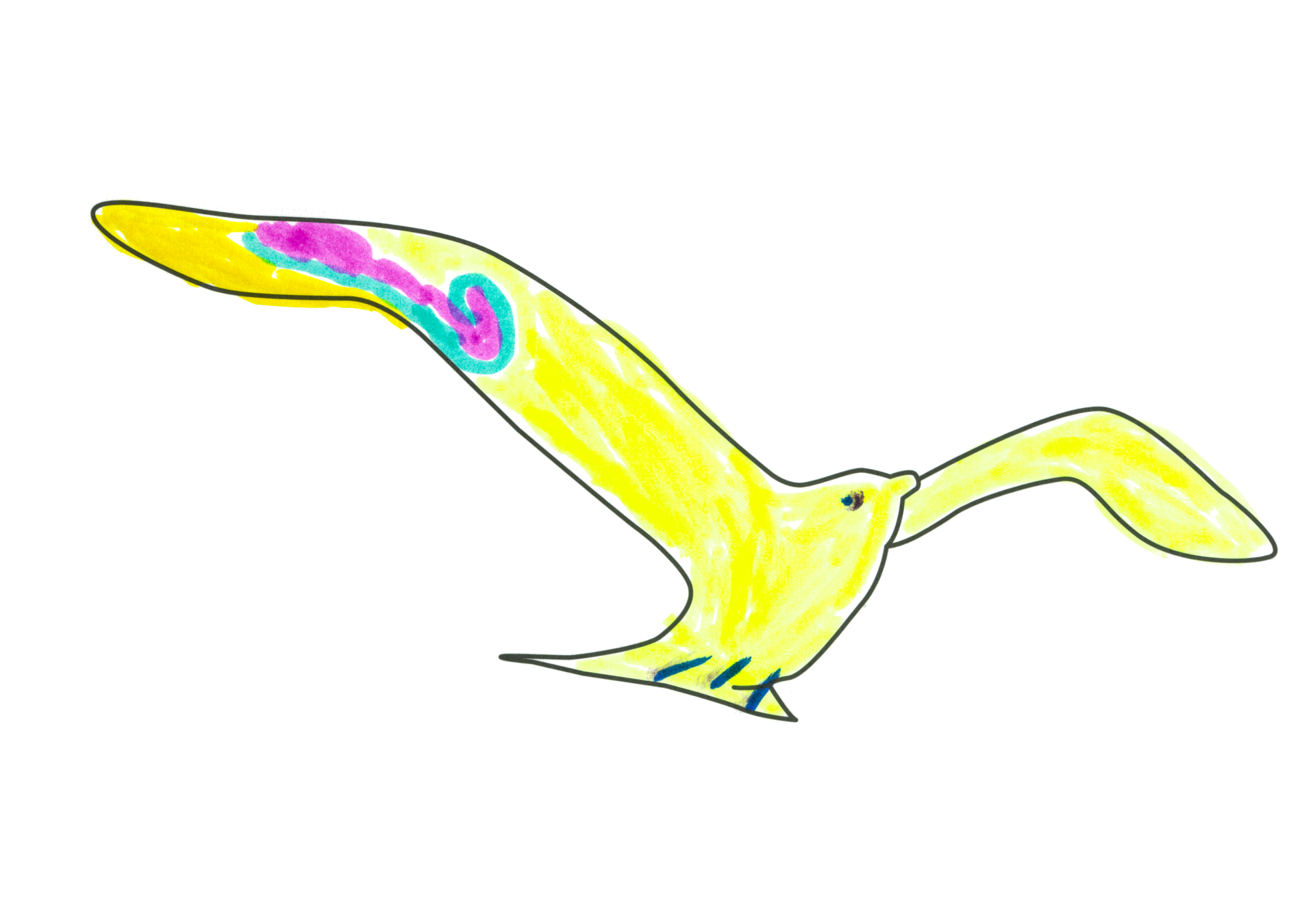 09558 自由飛翔的天氣鳥