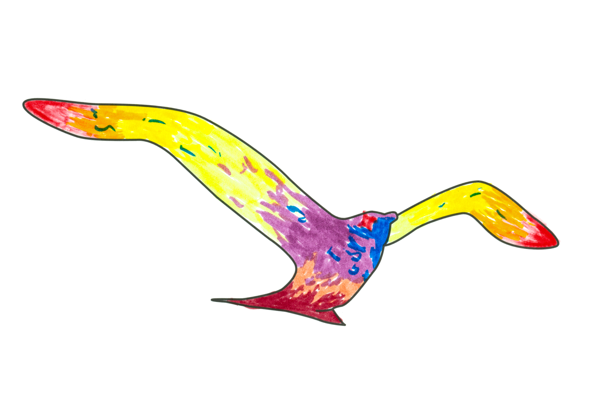 09560 自由飛翔的天氣鳥