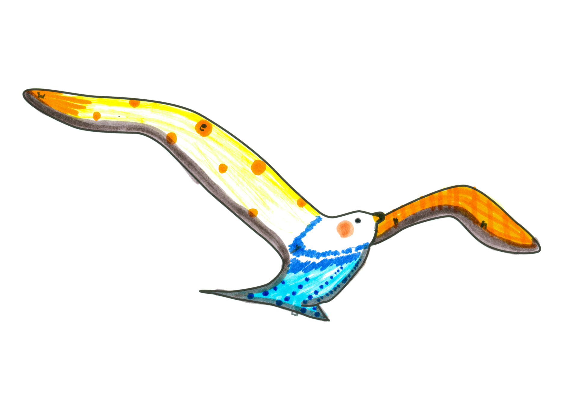 09564 自由飛翔的天氣鳥