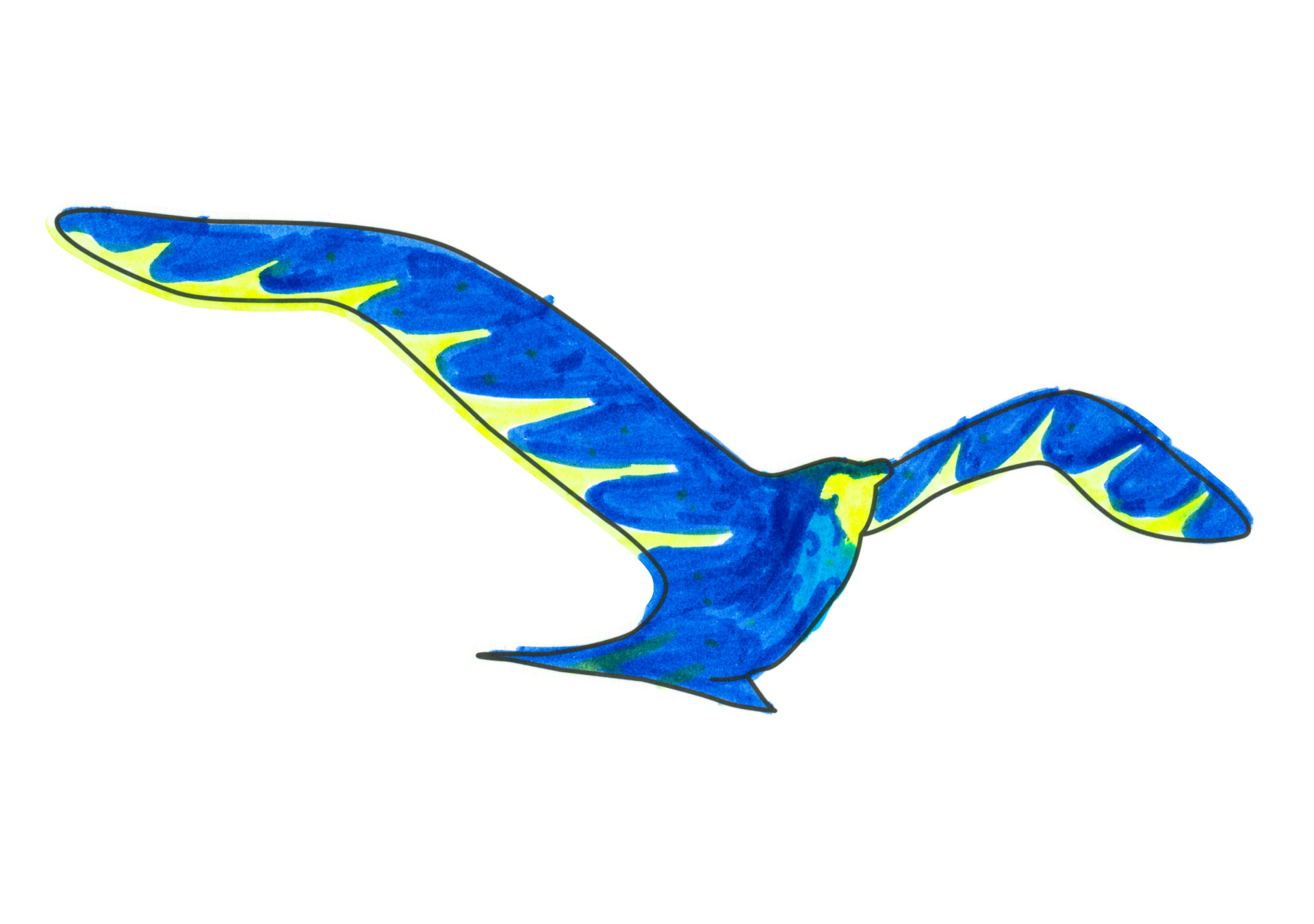 09595 自由飛翔的天氣鳥