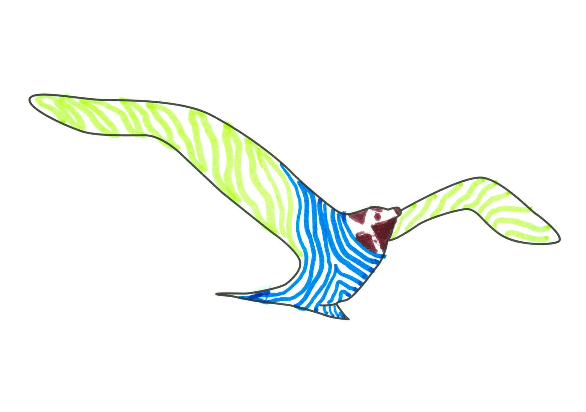 09651 自由飛翔的天氣鳥