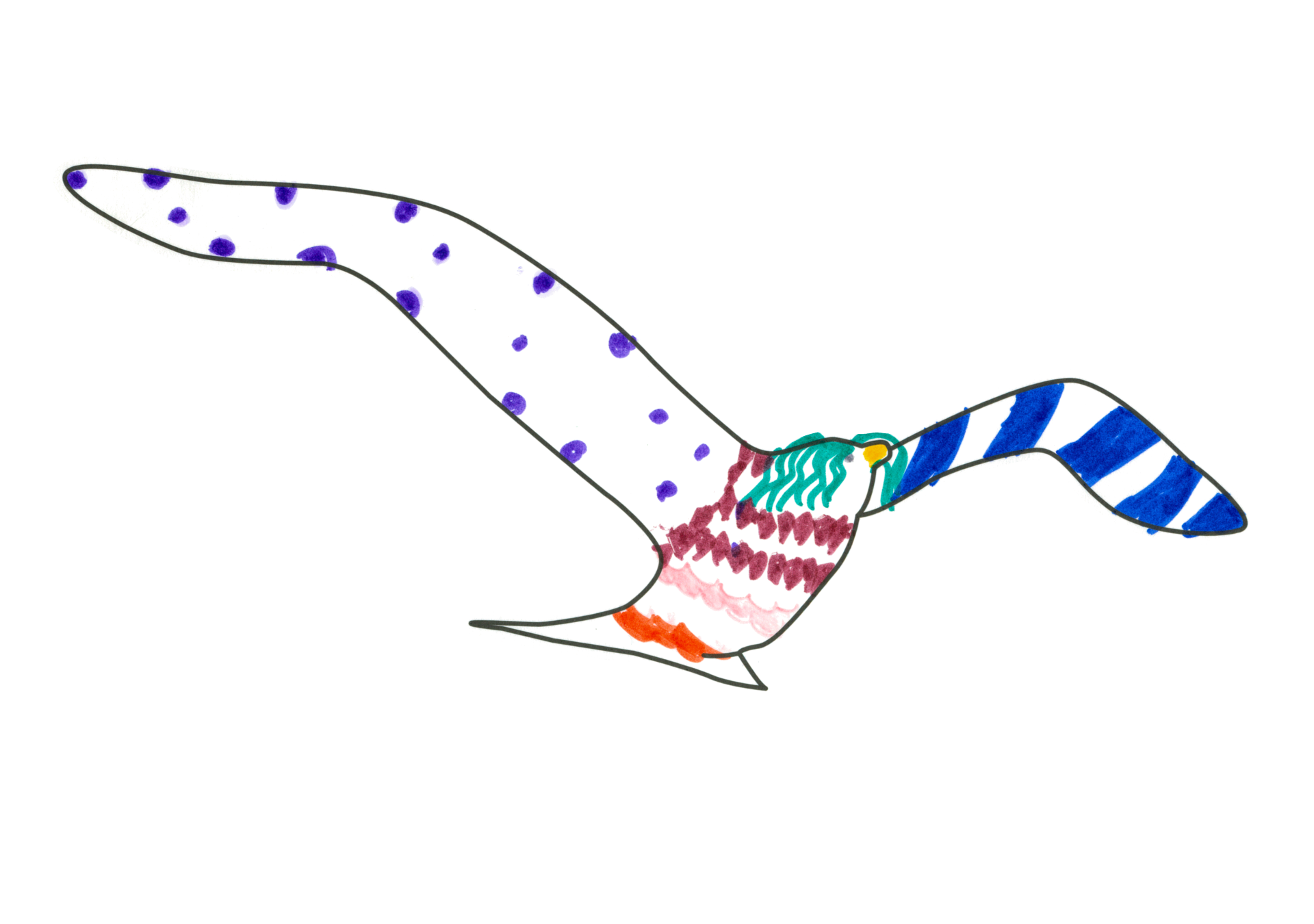 09697 自由飛翔的天氣鳥