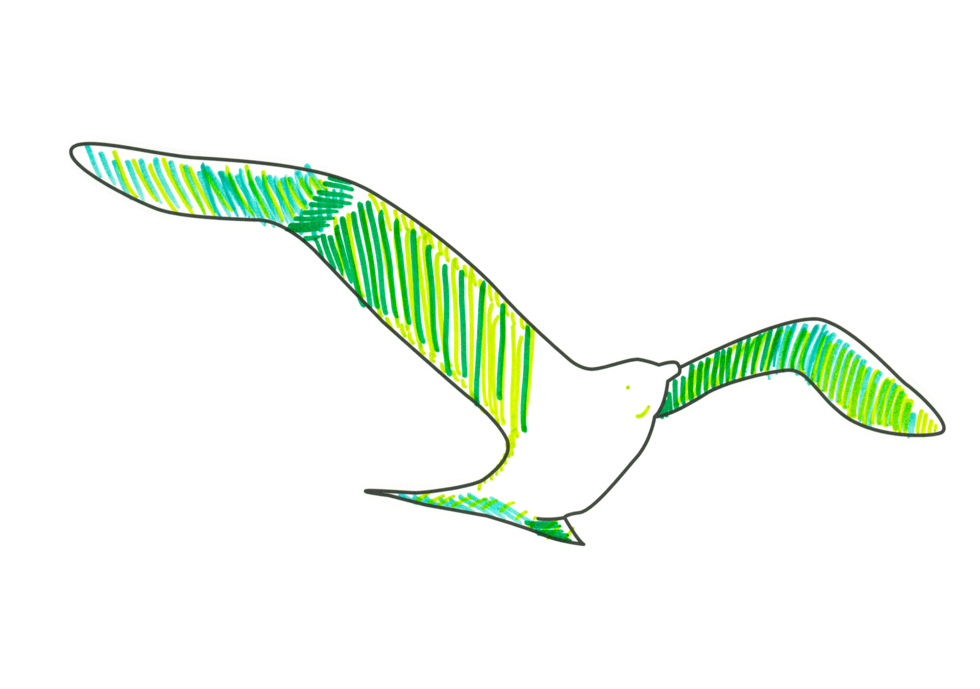 09780 自由飛翔的天氣鳥