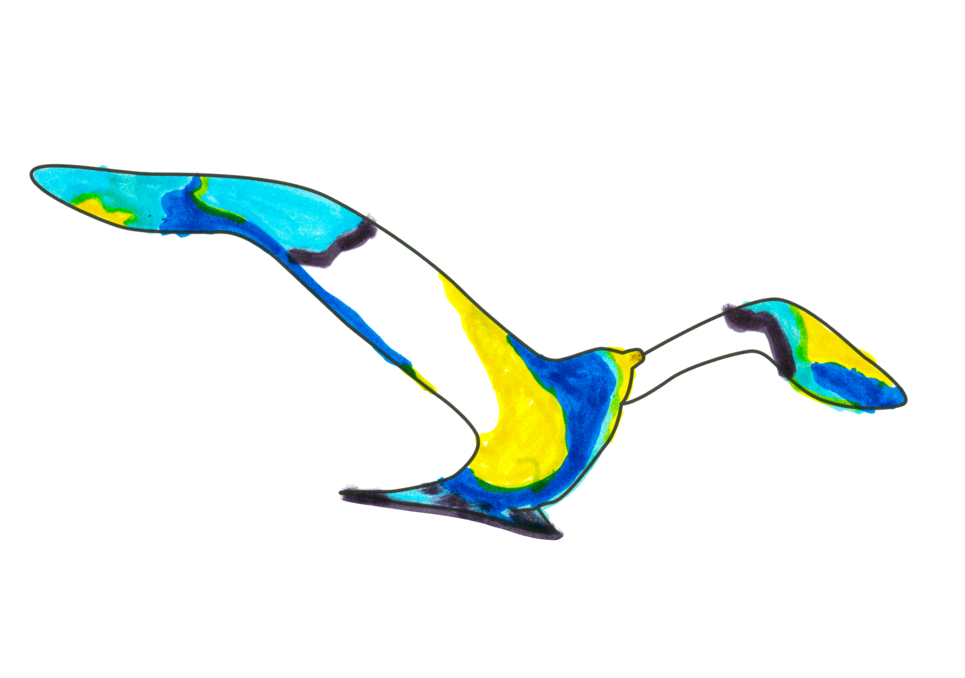 09815 自由飛翔的天氣鳥