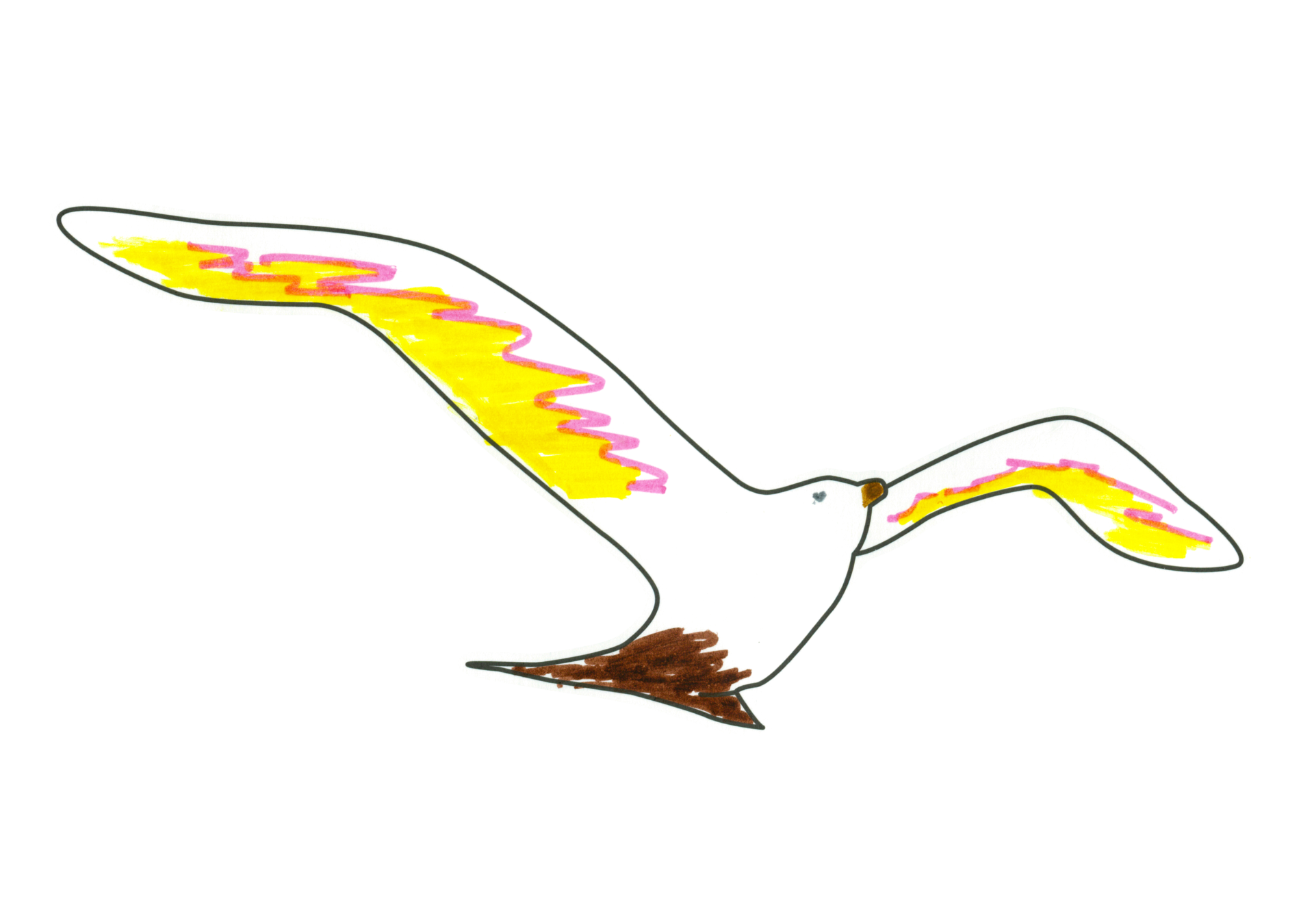 09879 自由飛翔的天氣鳥