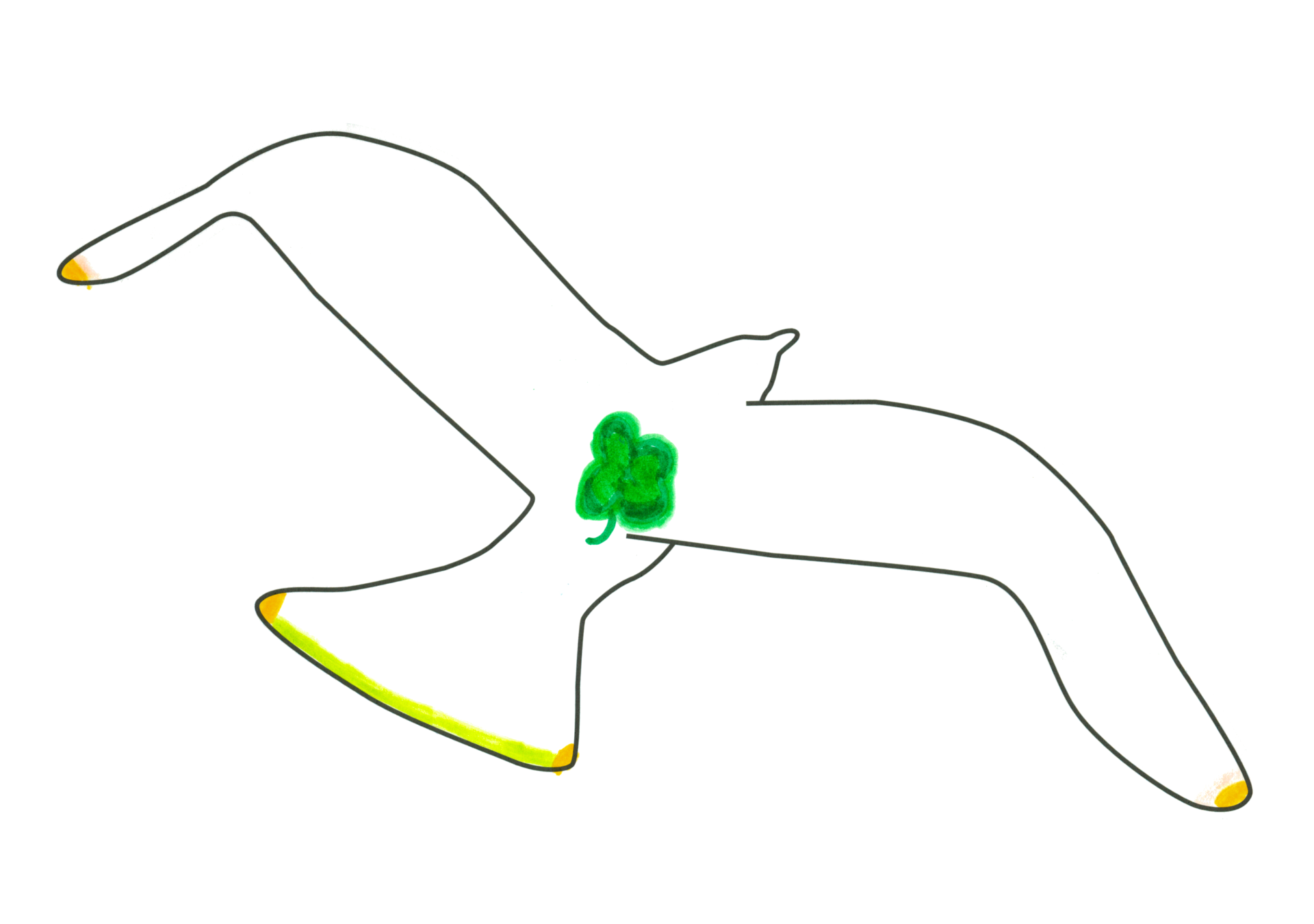 07211 自由飛翔的天氣鳥