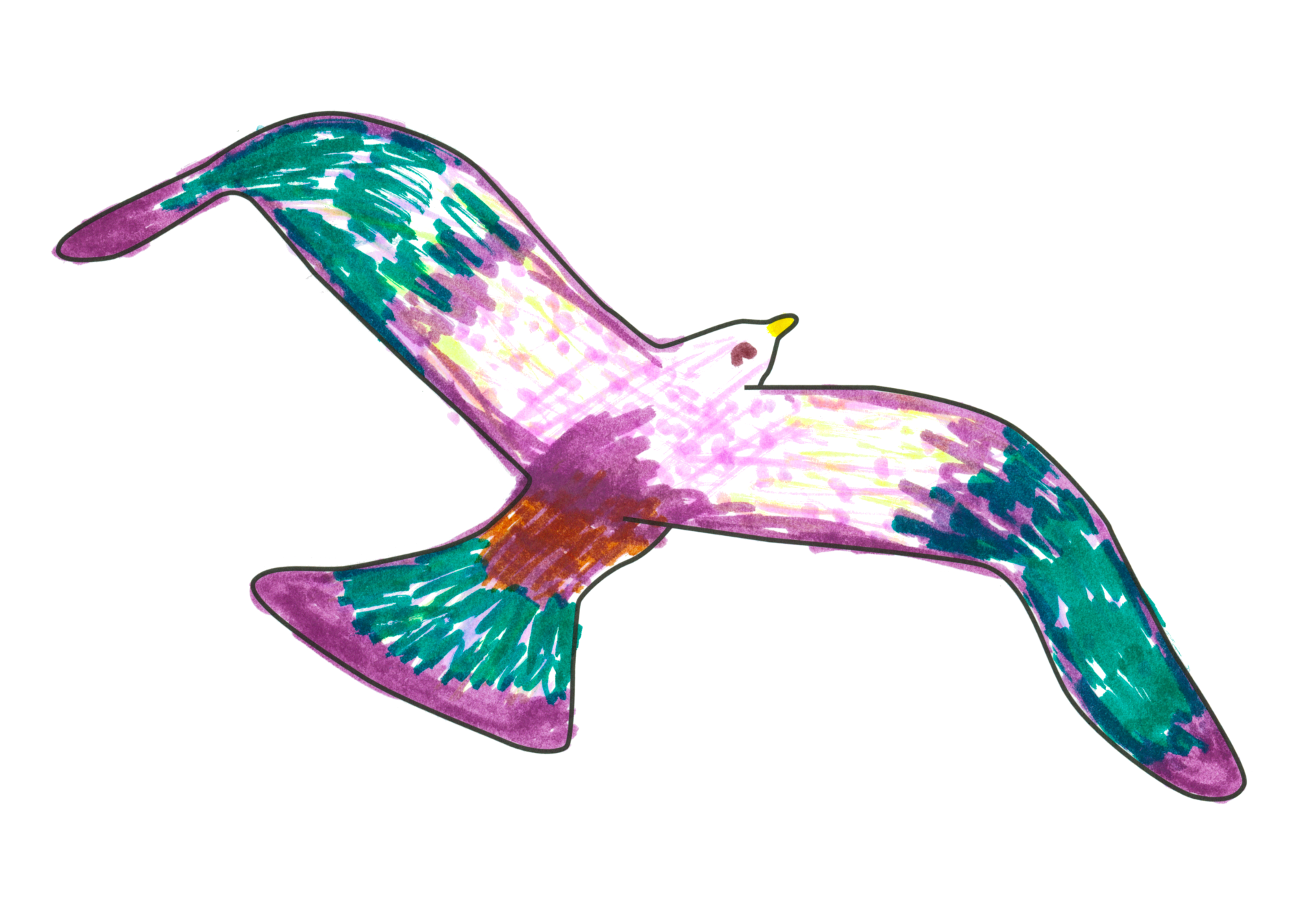 07223 自由飛翔的天氣鳥