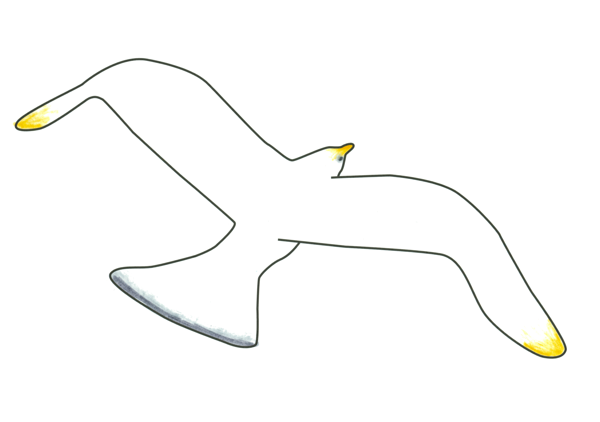 07279 自由飛翔的天氣鳥