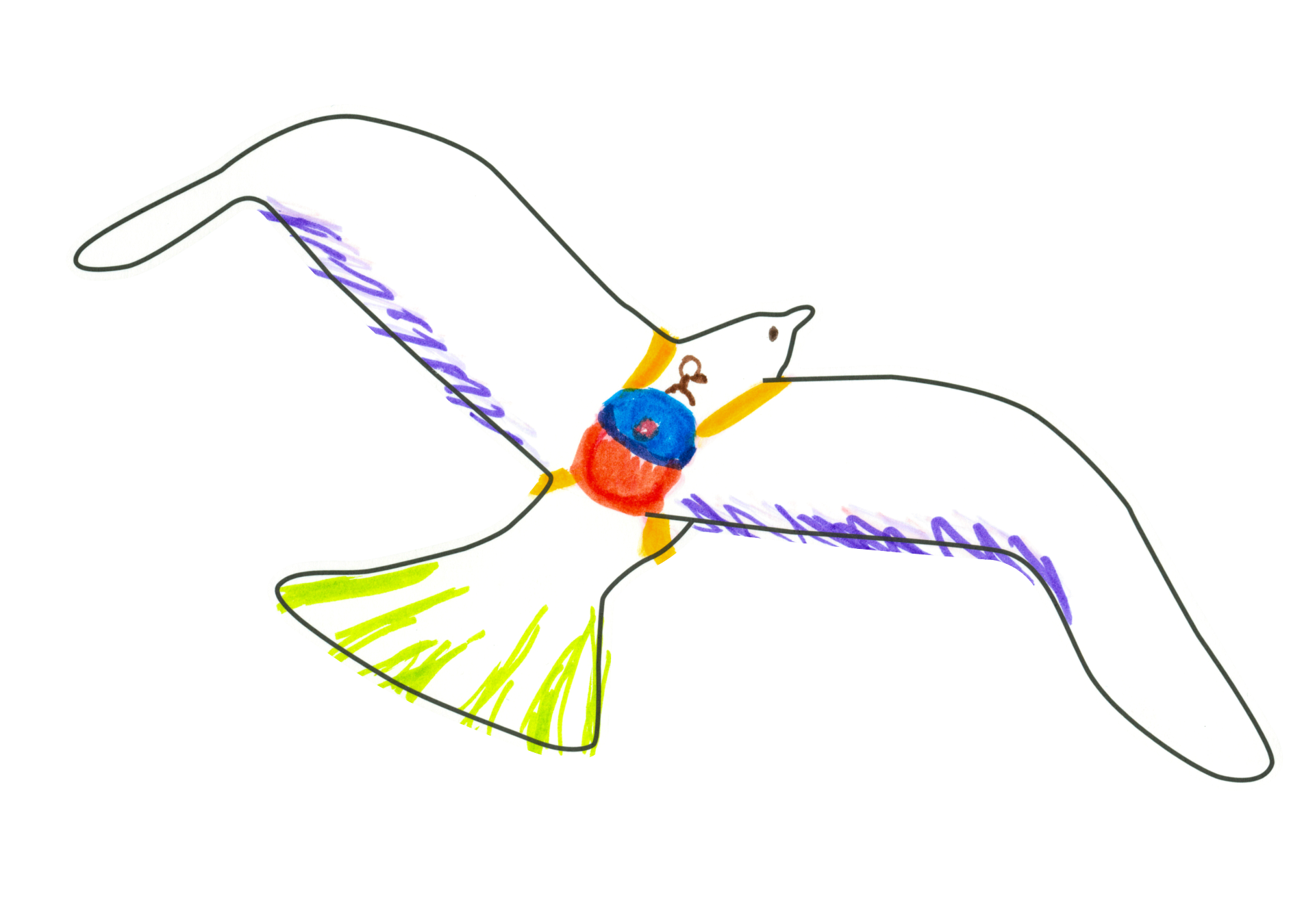 自由飛翔的天氣鳥