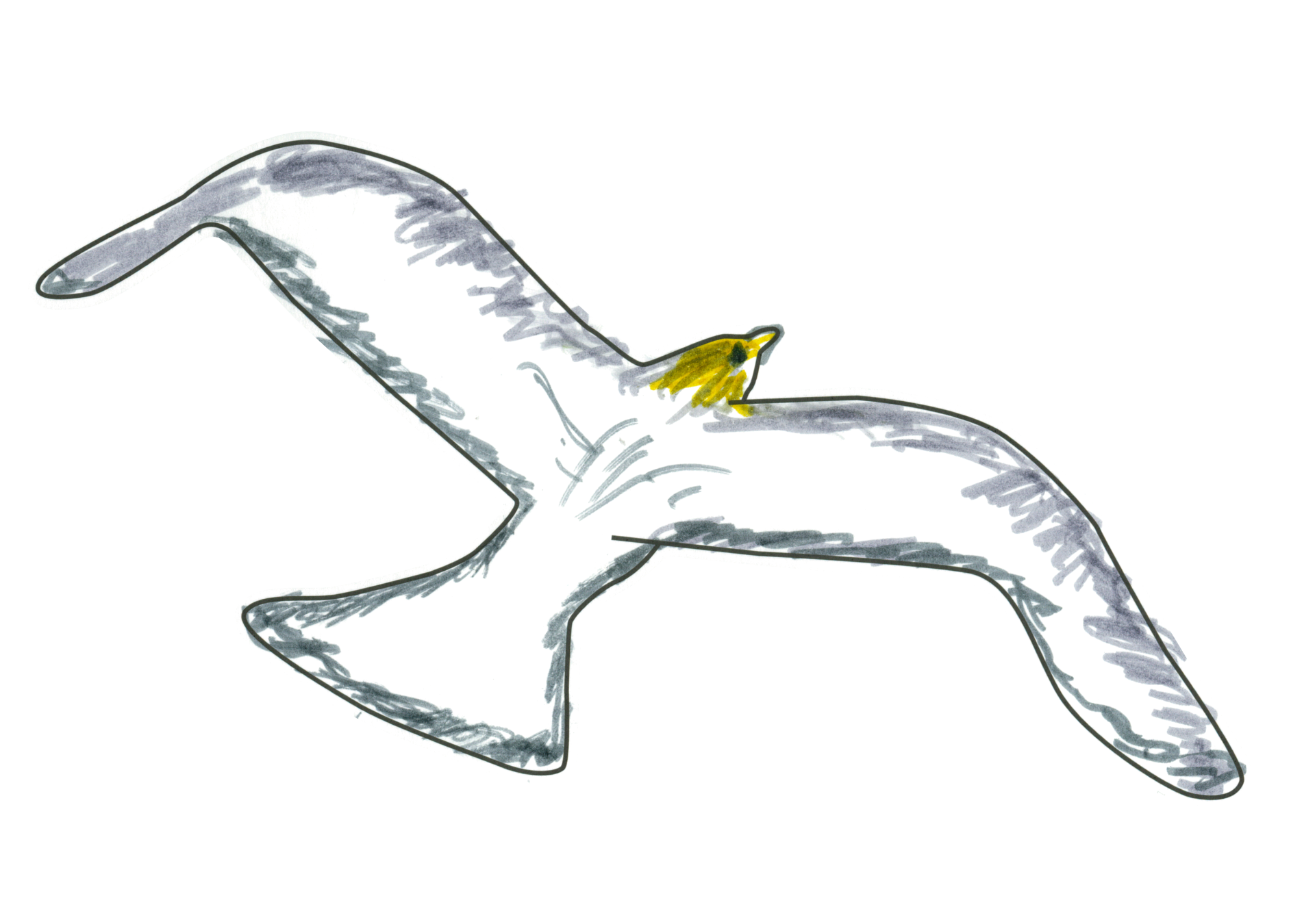 自由飛翔的天氣鳥