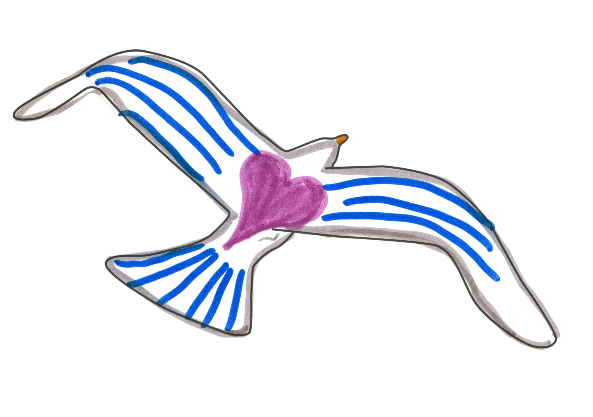 自由飛翔的天氣鳥