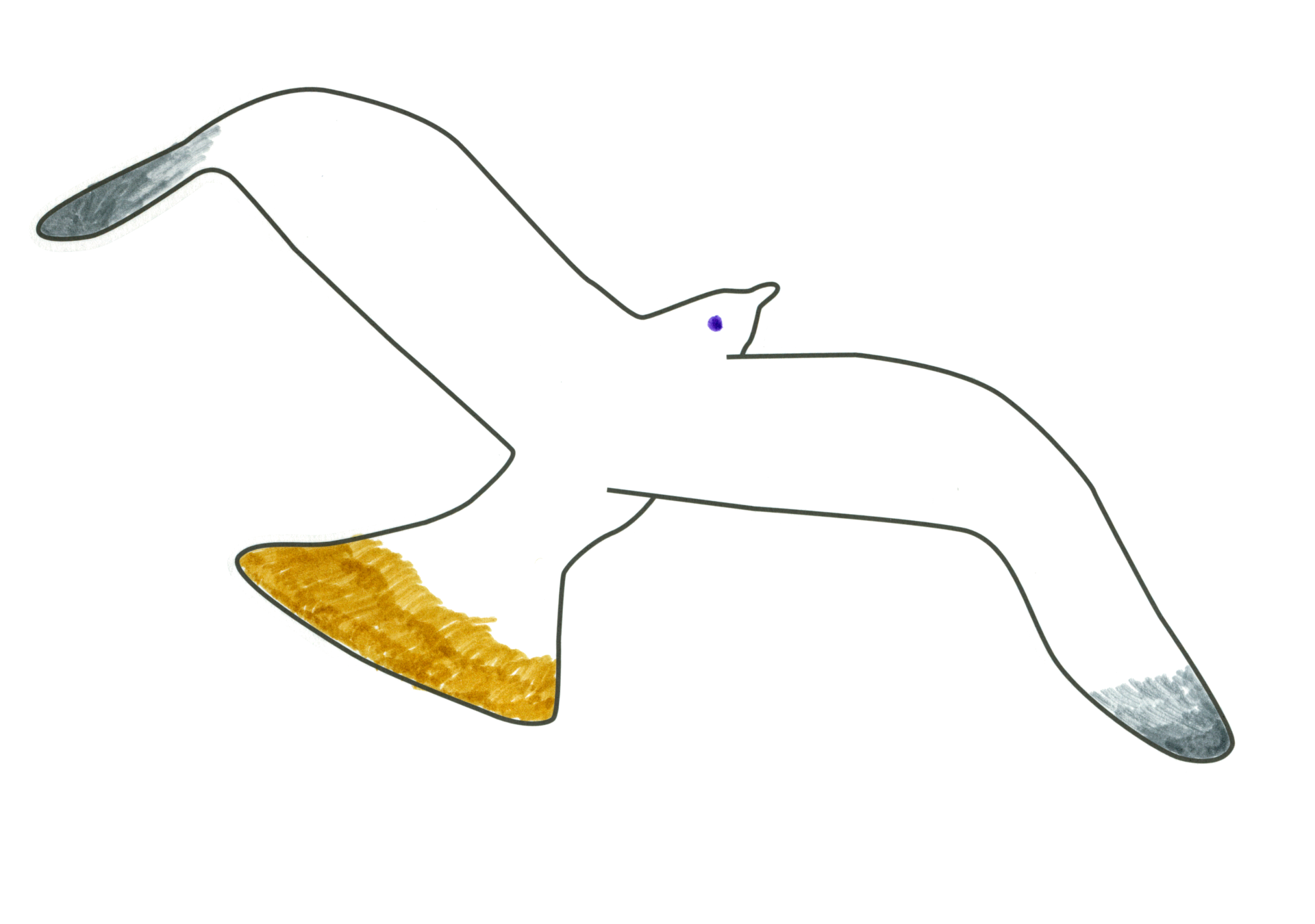 07521 自由飛翔的天氣鳥